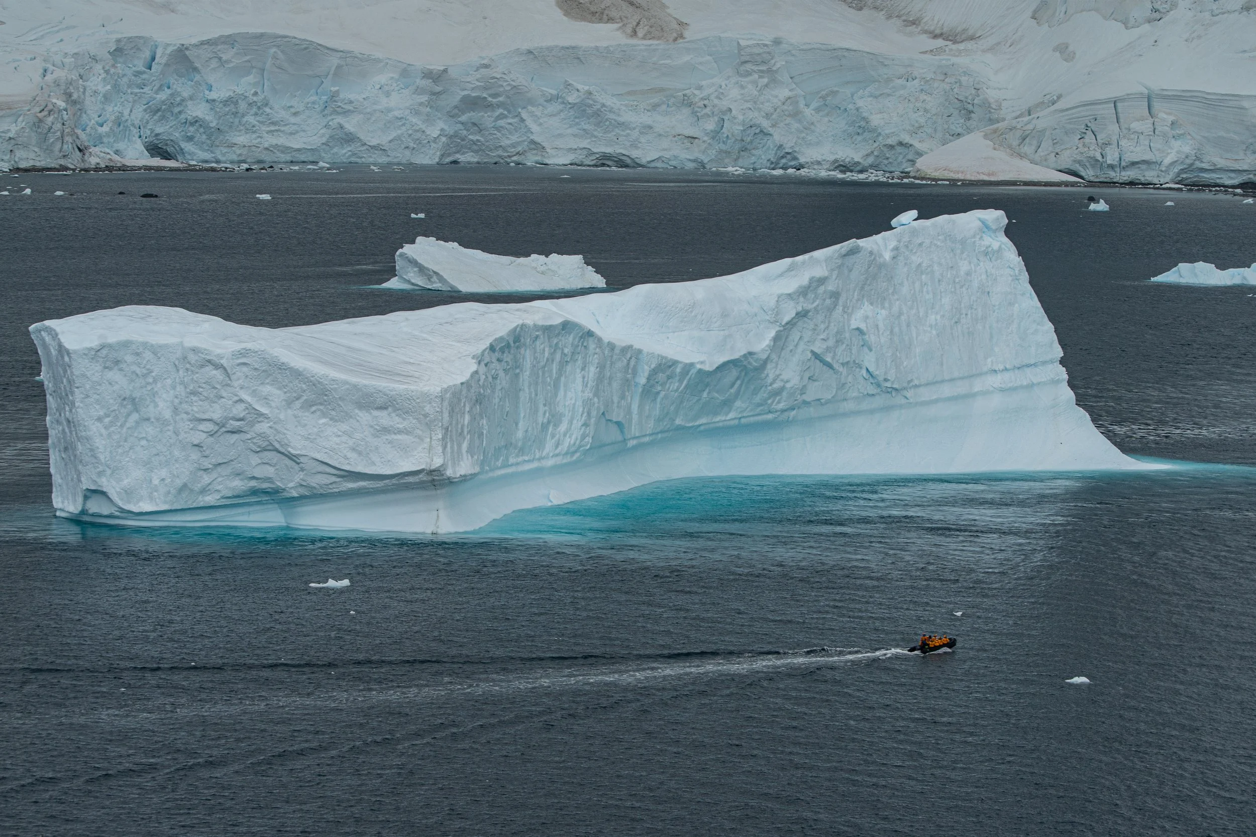 2020_Antarctica-01225.jpg