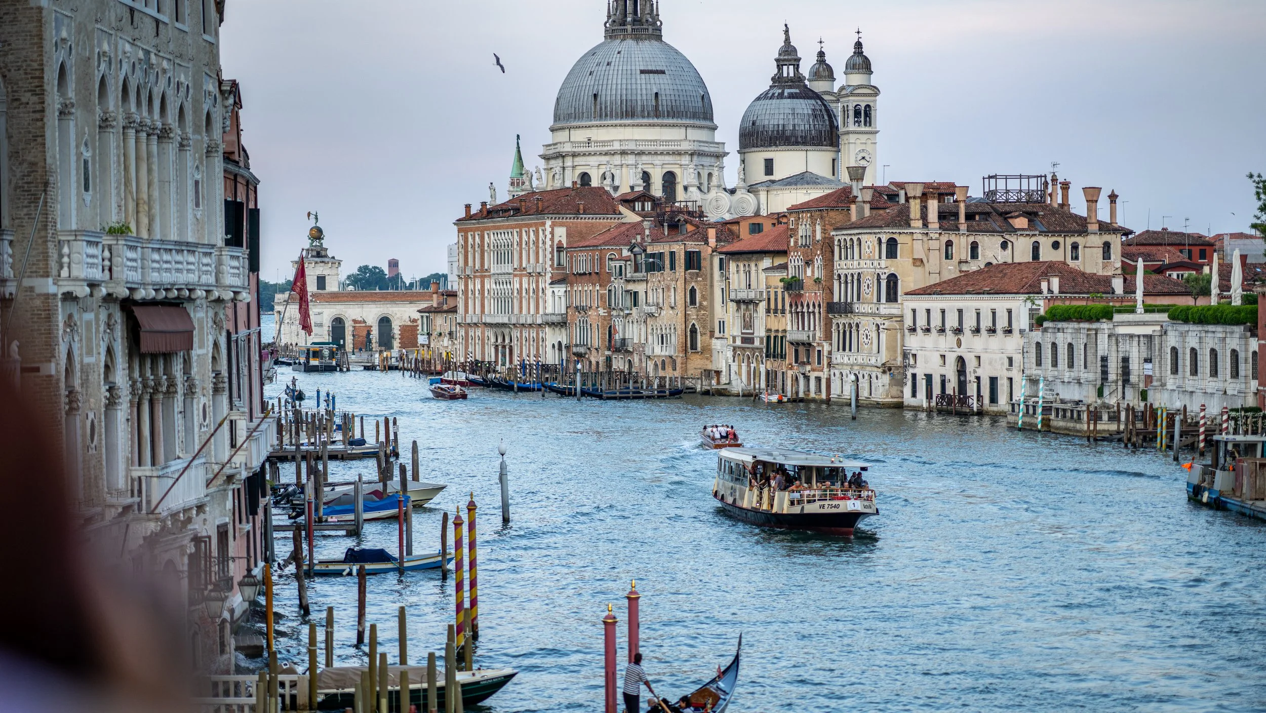 2025_Venice-00024.jpg
