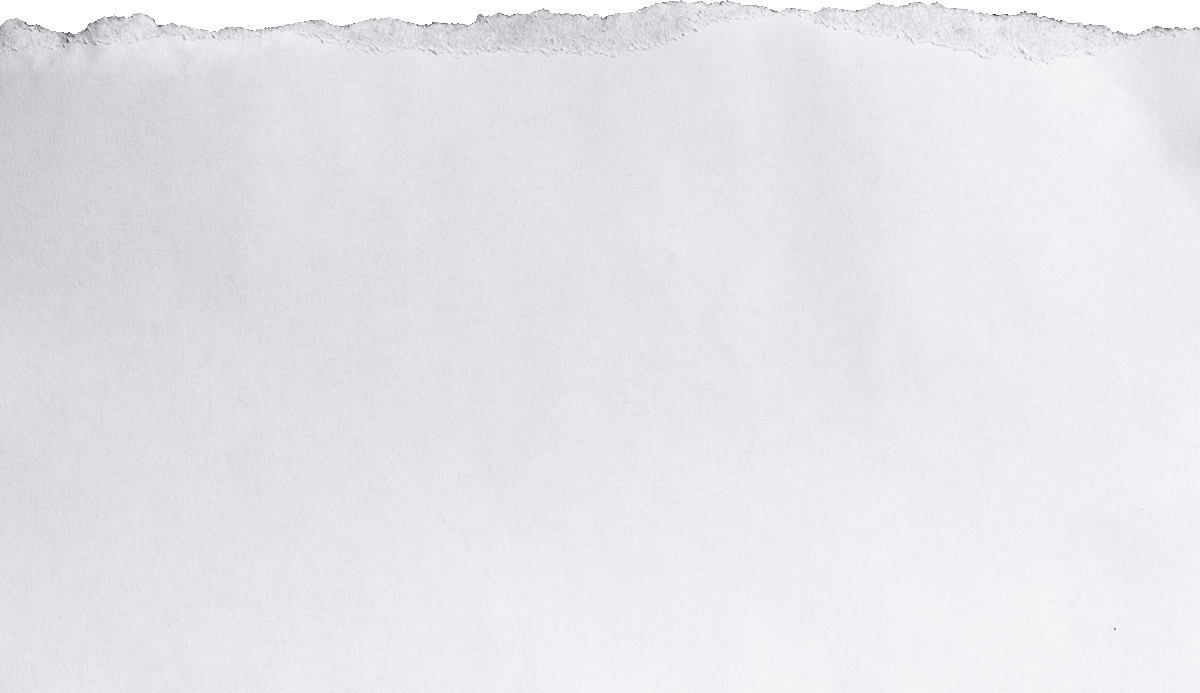 Blank torn white paper with rough edges at the top.