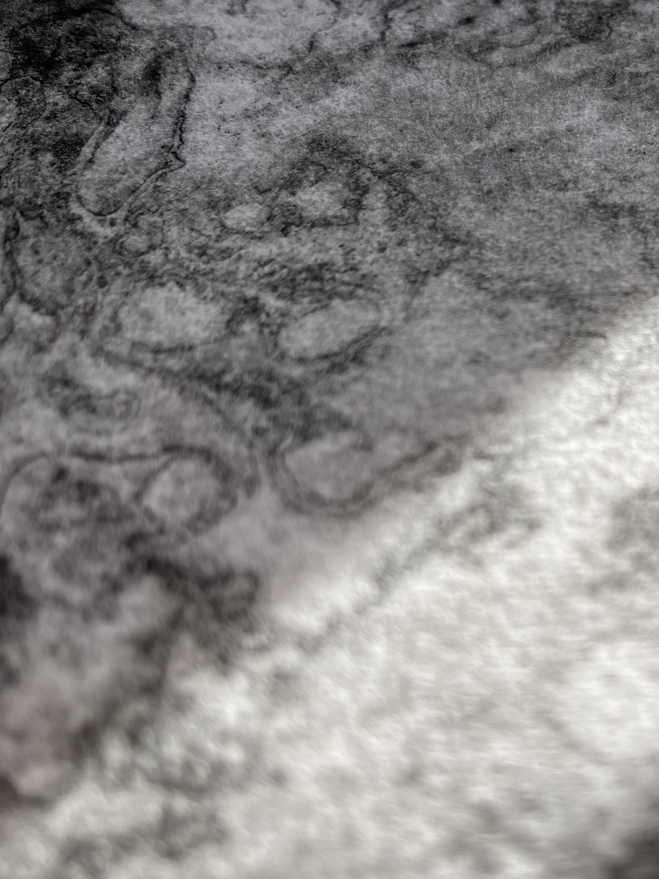 ‘Meaning or message'