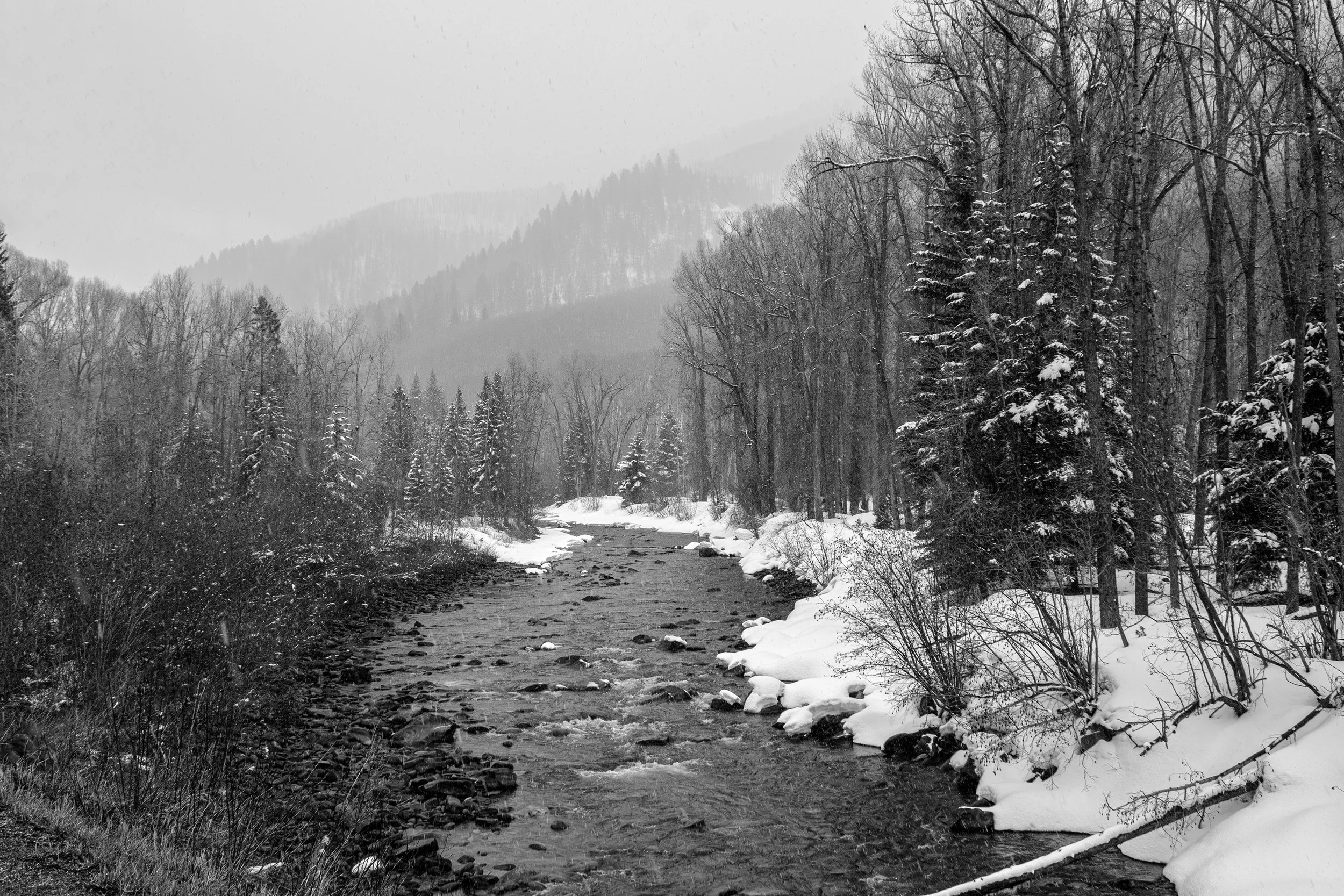 _MG_2430-Enhanced-NR copy.jpeg