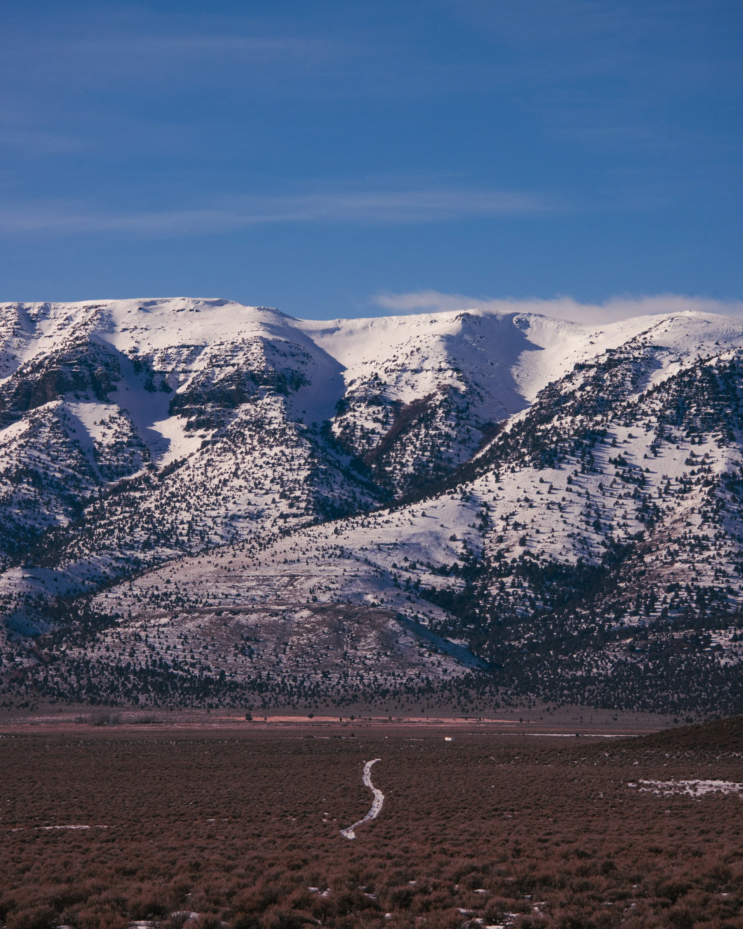 Snow-covered mountains under a blue sky with some clouds, trees scattered on the slopes, a winding dirt road in the foreground leading towards the mountains.