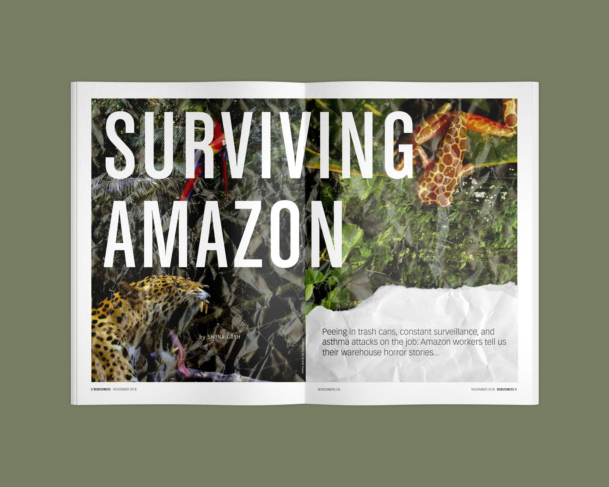 24201-magazine-mockup2222.jpg
