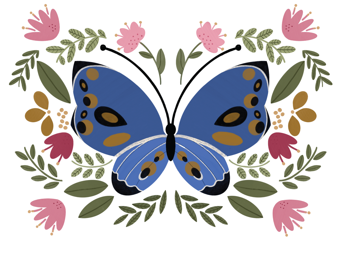 butterfly.png