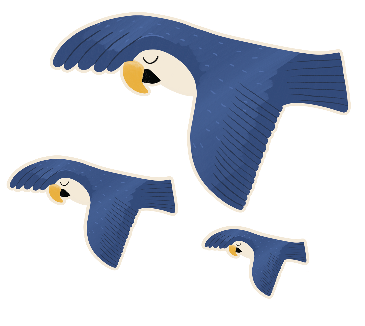 macaw.png