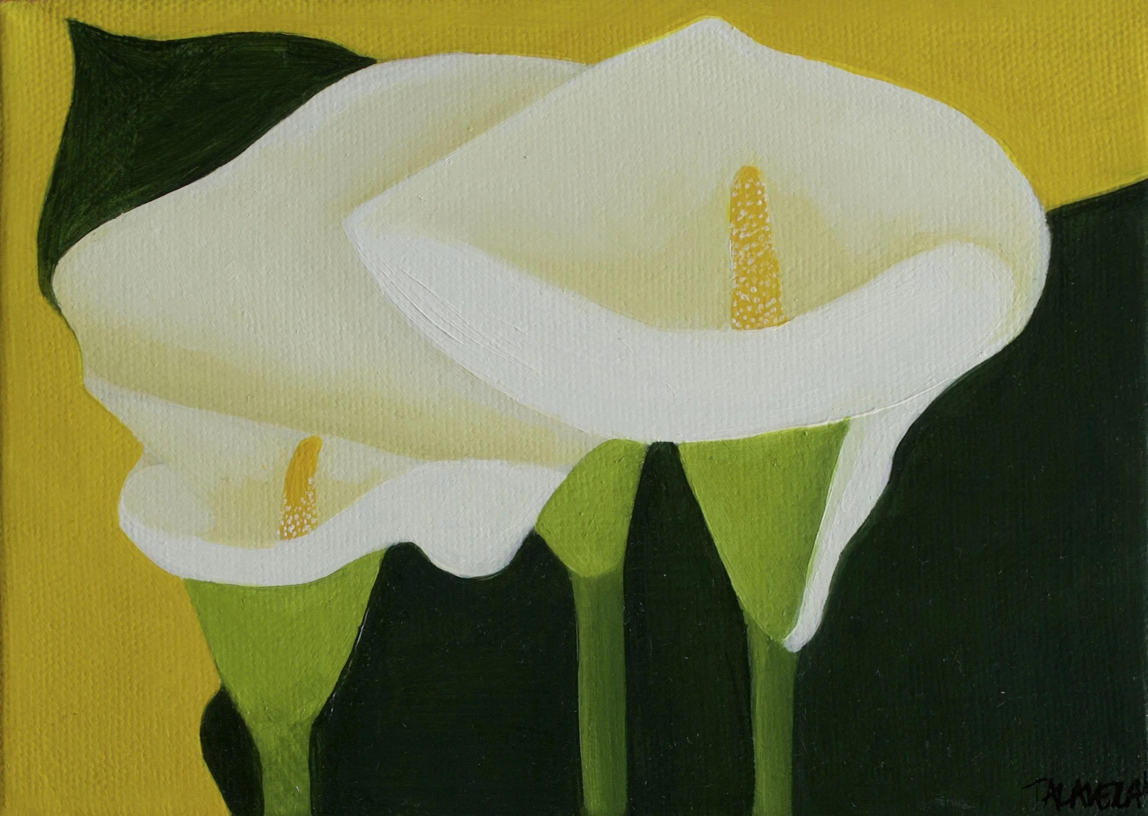 calla1.JPG