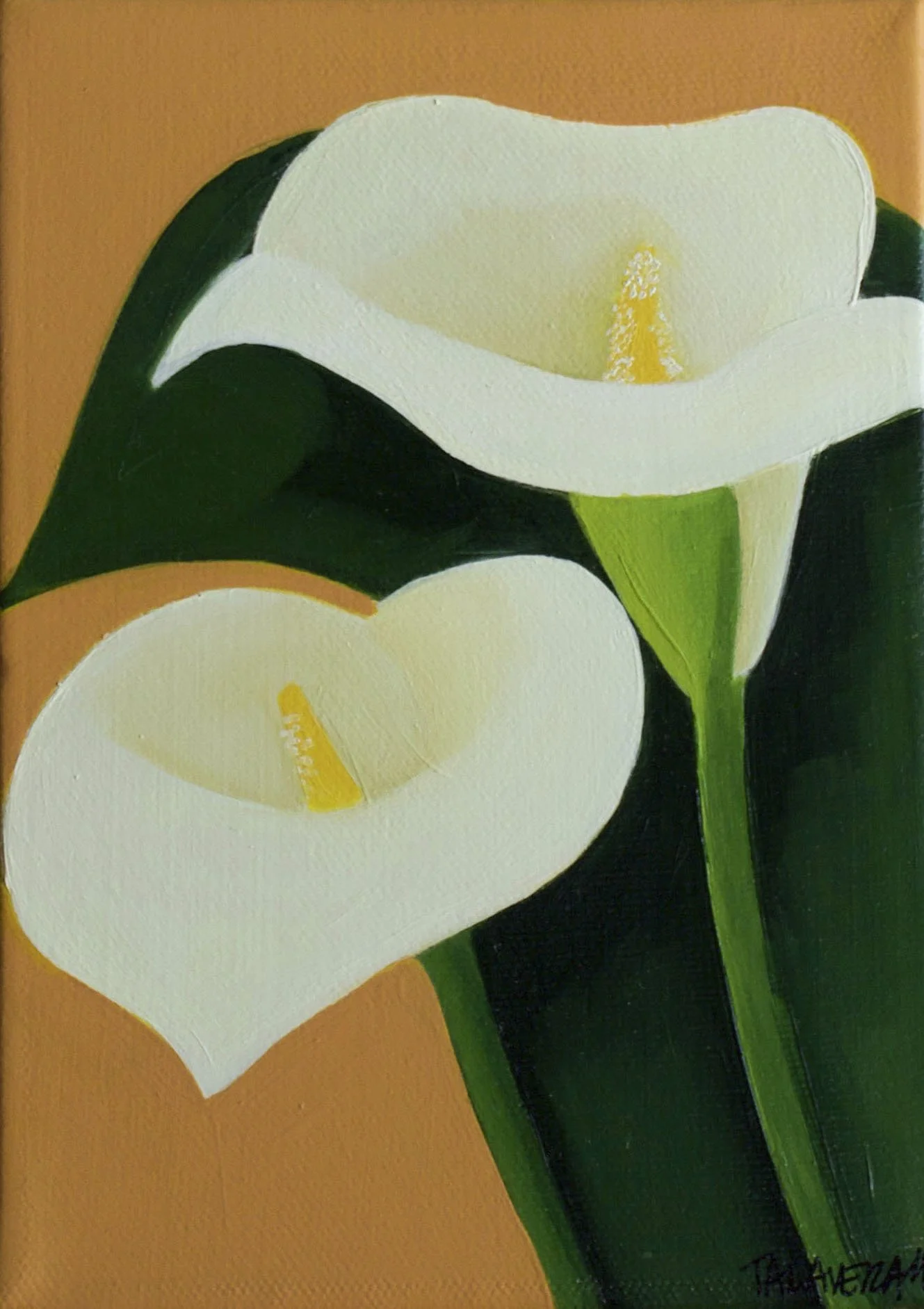 calla3.JPG