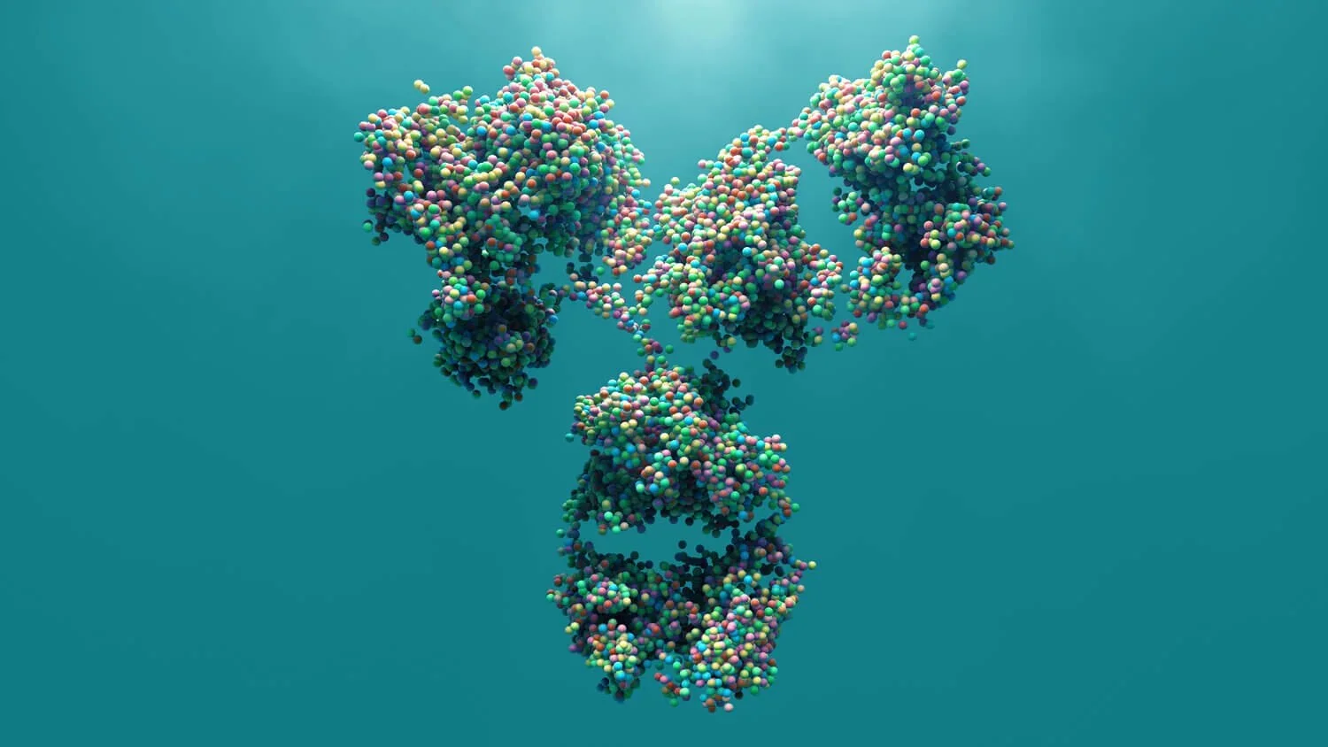 Aggregates Removal in Monoclonal Antibody Purification