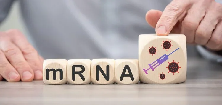 How to Purify mRNA – A strategy you need to consider