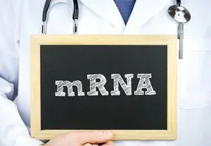 mRNA Size — An Important Factor You Cannot Ignore