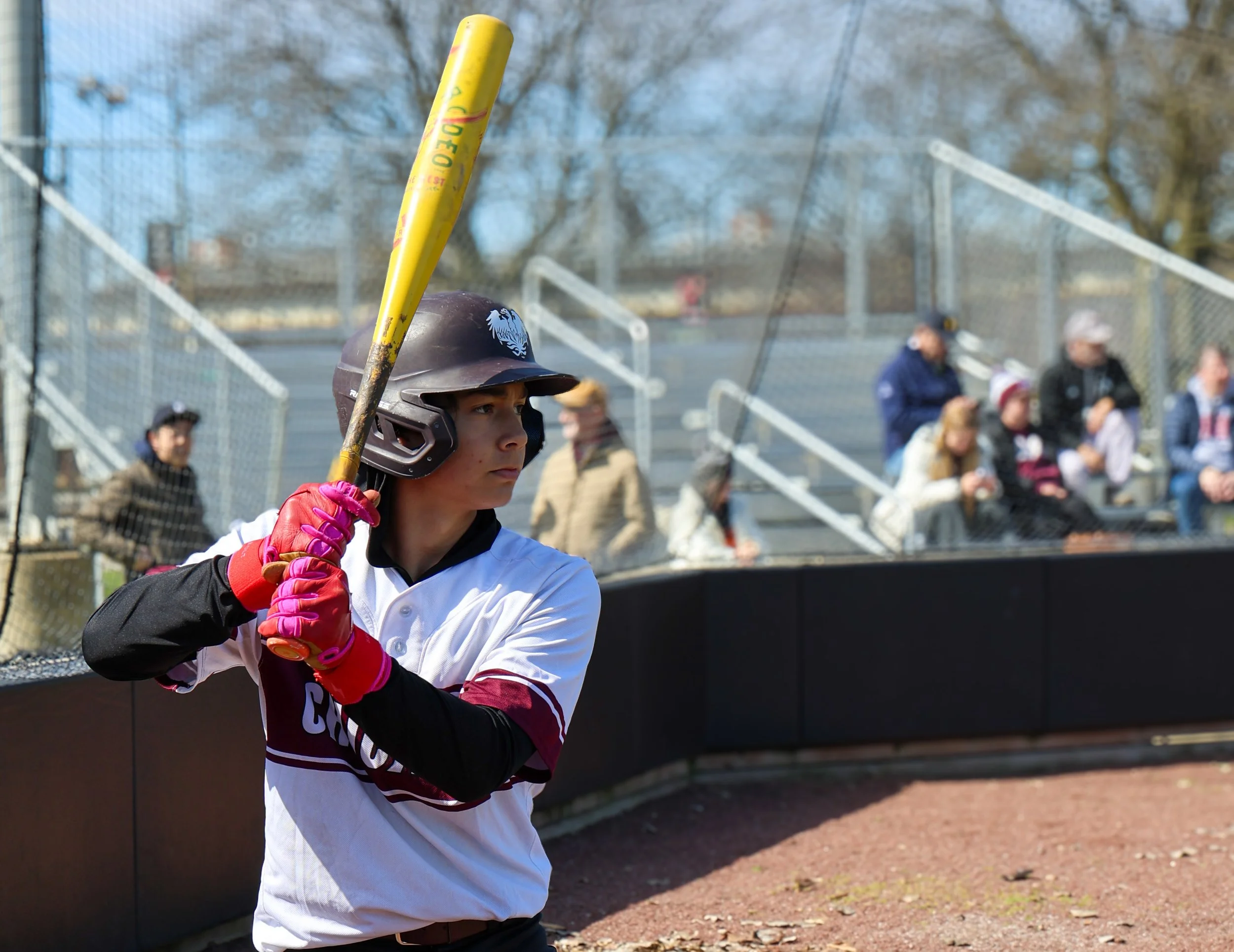 A female baseball batter in a helmet and batting gloves holding a yellow bat during a game at an outdoor baseball field with spectators in the background.