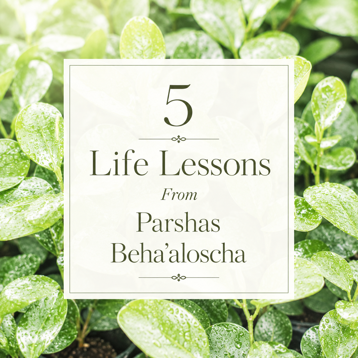 5 Life Lessons From Parshas Beha’aloscha