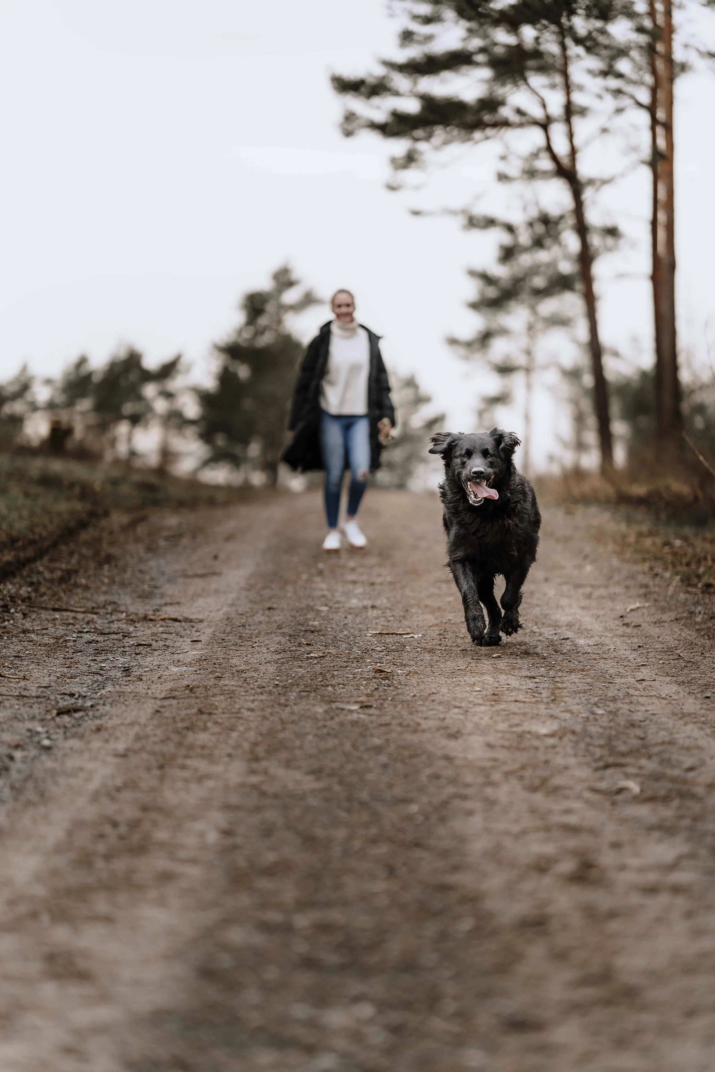 Fotoshooting Hund Höxter Detmold Paderborn