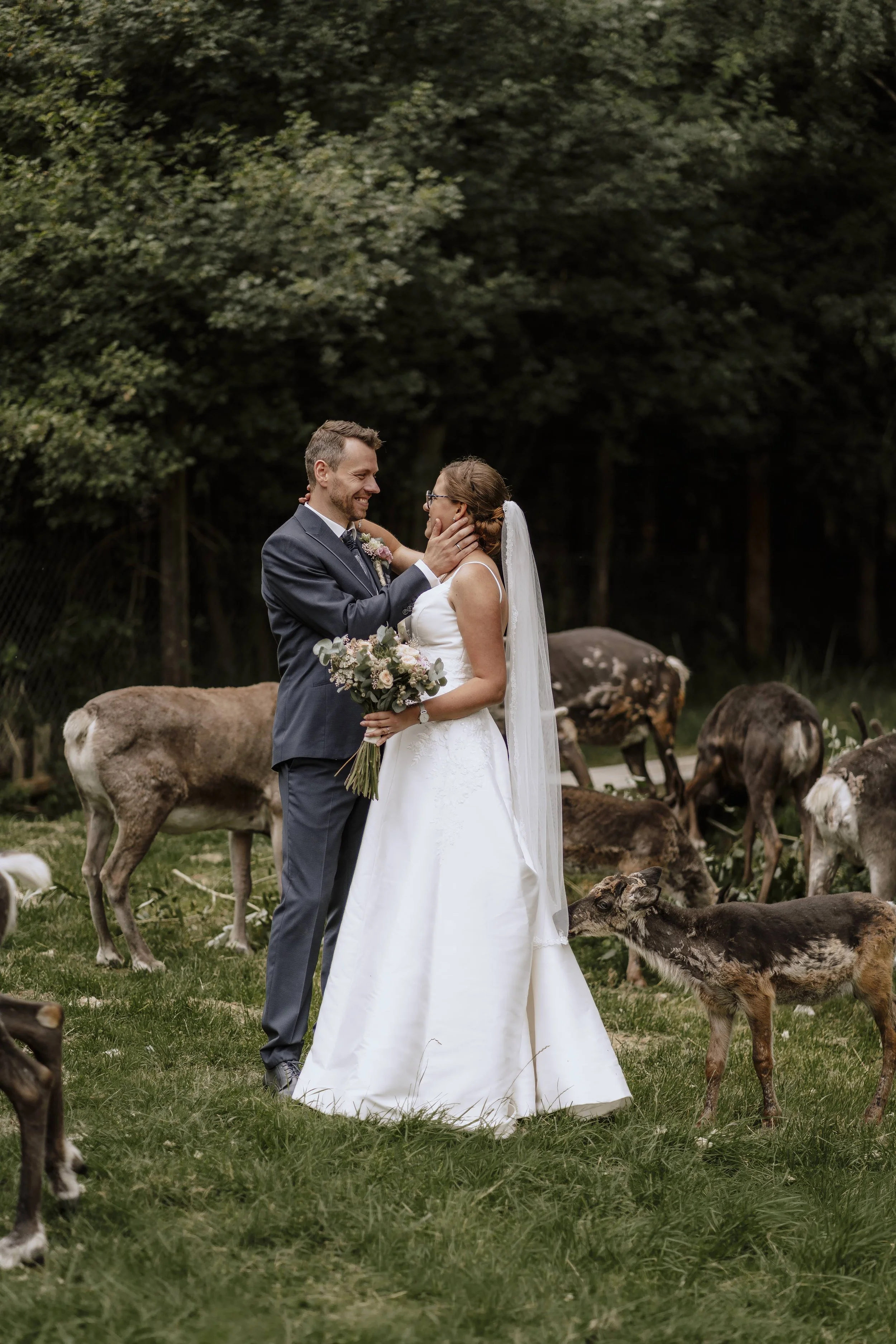 Bräutigam hält zärtlich das Gesicht der Braut, umgeben von Rentieren im Wald – emotionaler Moment beim Hochzeitsshooting