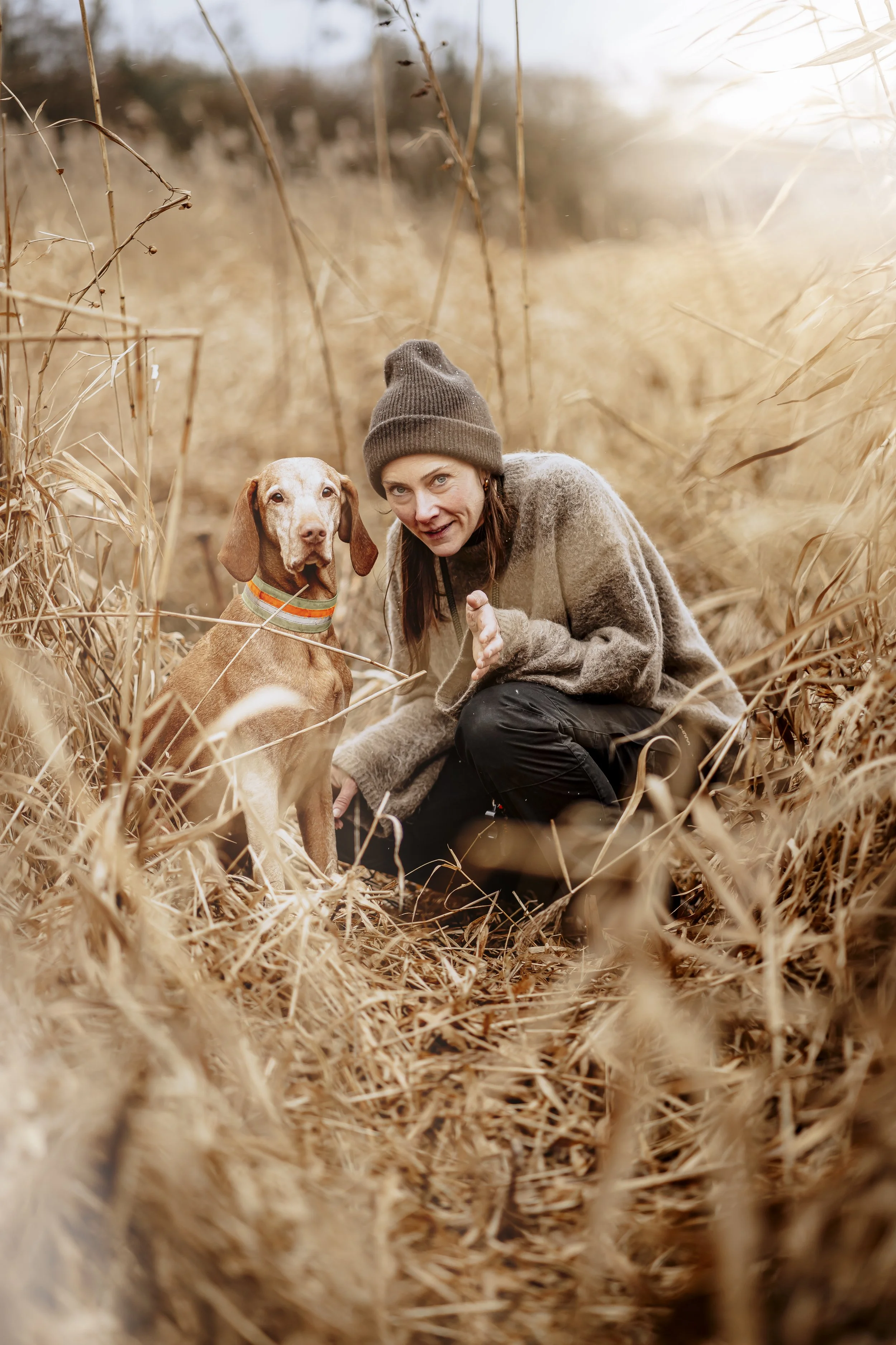 Fotoshooting mit Hund Pferd im Kreis Höxter und OWL Paderborn Detmold