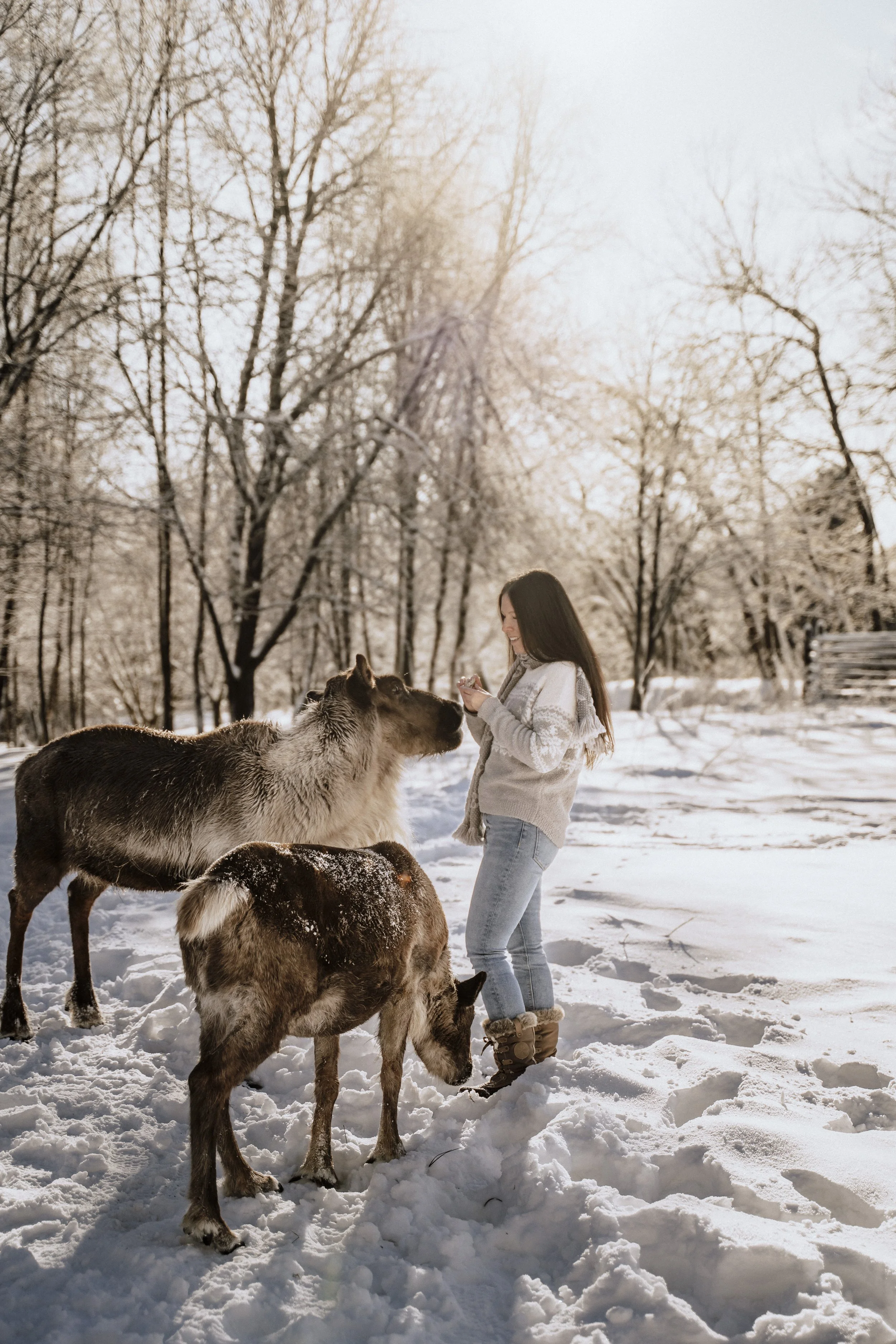 Erlebnis Fotoshooting beim Wildguide in Silberborn mit Damwild Huskys und Greifvögel