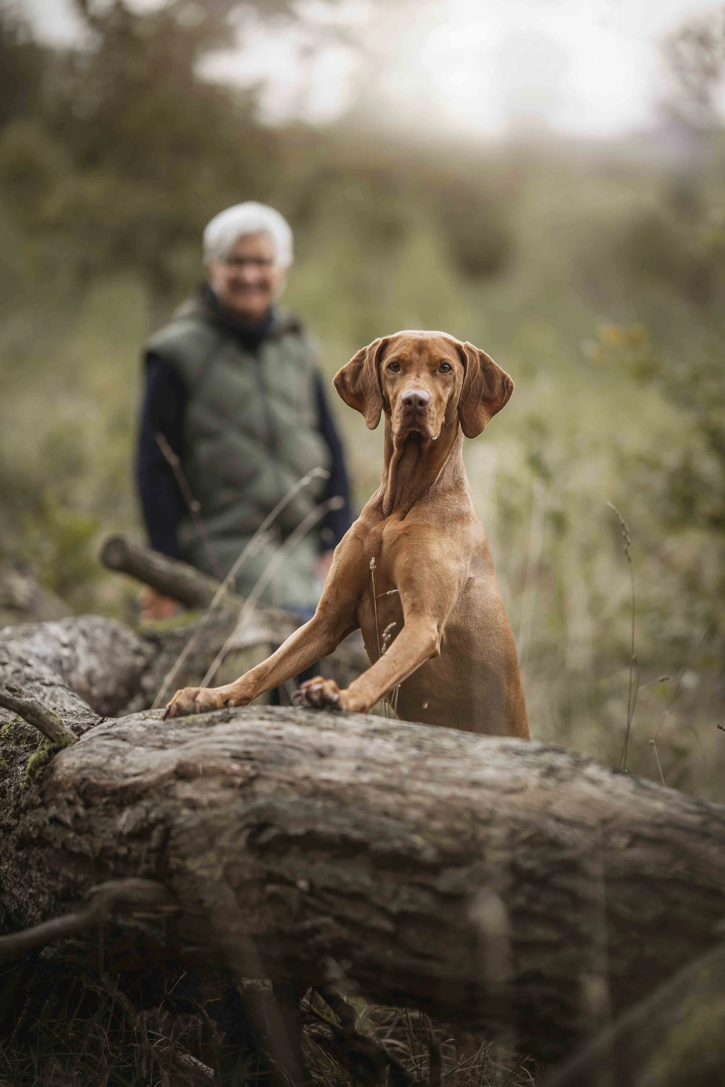 Fotoshooting Hund Höxter Detmold Paderborn