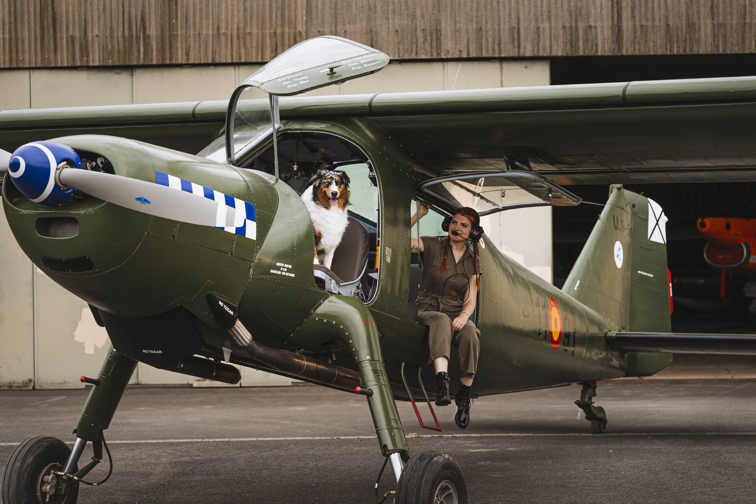 Fotoshooting mit Hund Pferd im Kreis Höxter und OWL Paderborn Detmold