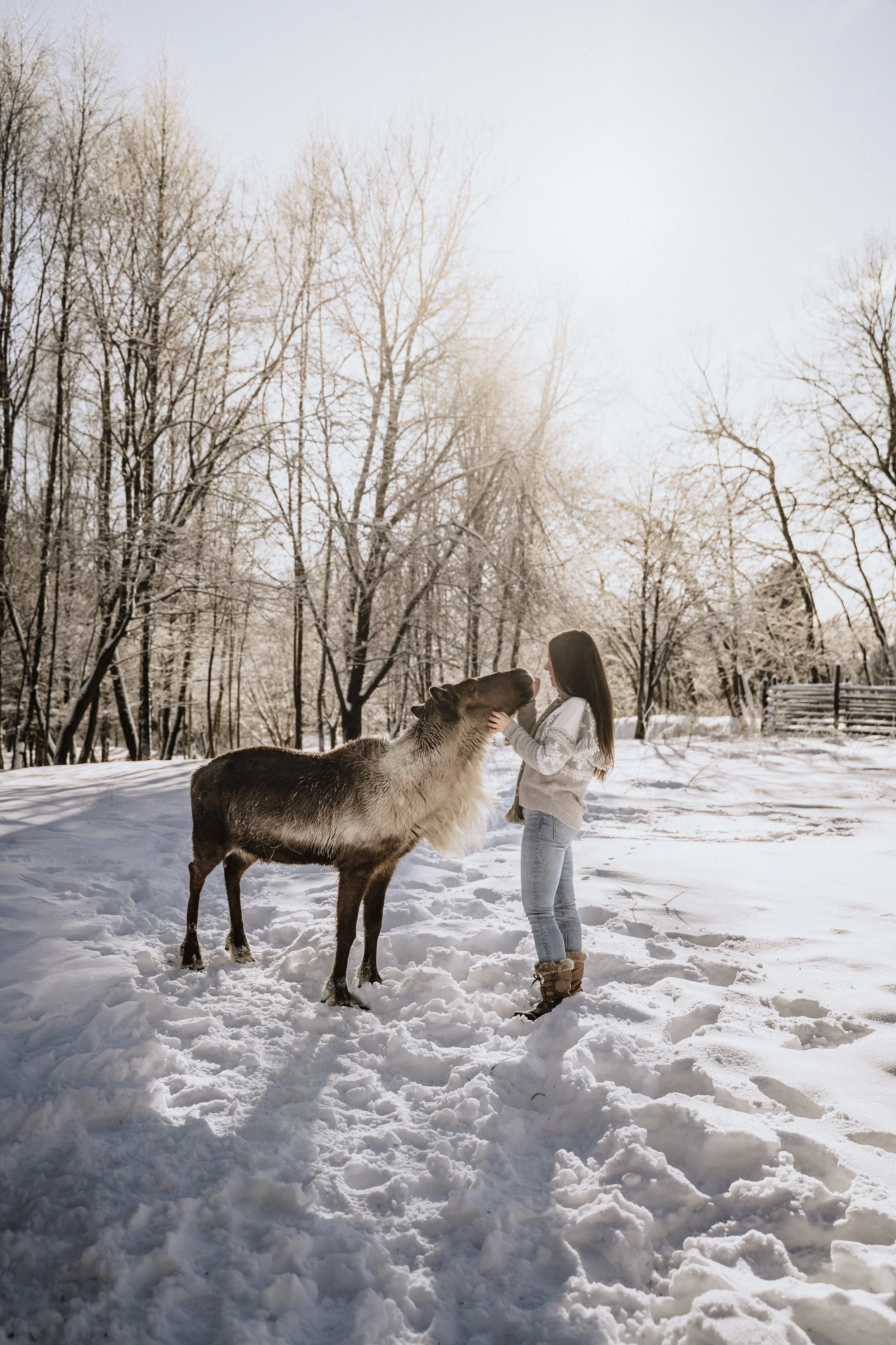 Erlebnis Fotoshooting beim Wildguide in Silberborn mit Damwild Huskys und Greifvögel