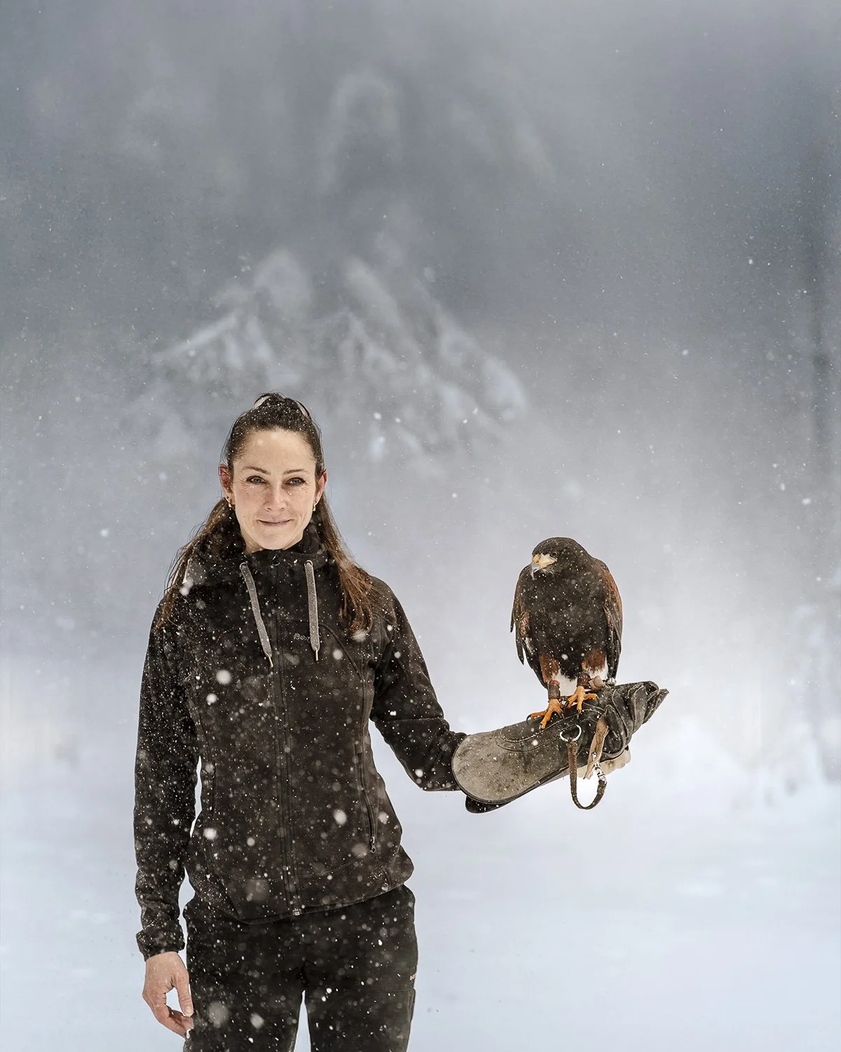 Tiershooting im Solling mit dem Wildguide