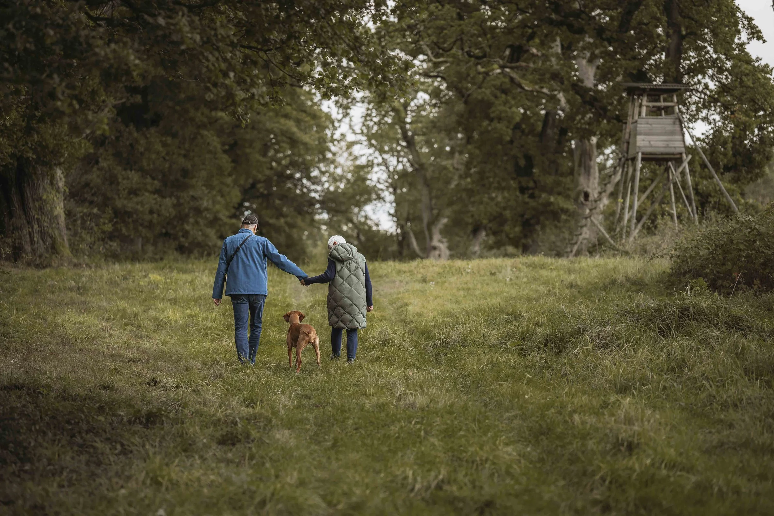 Fotoshooting Hund Höxter Detmold Paderborn
