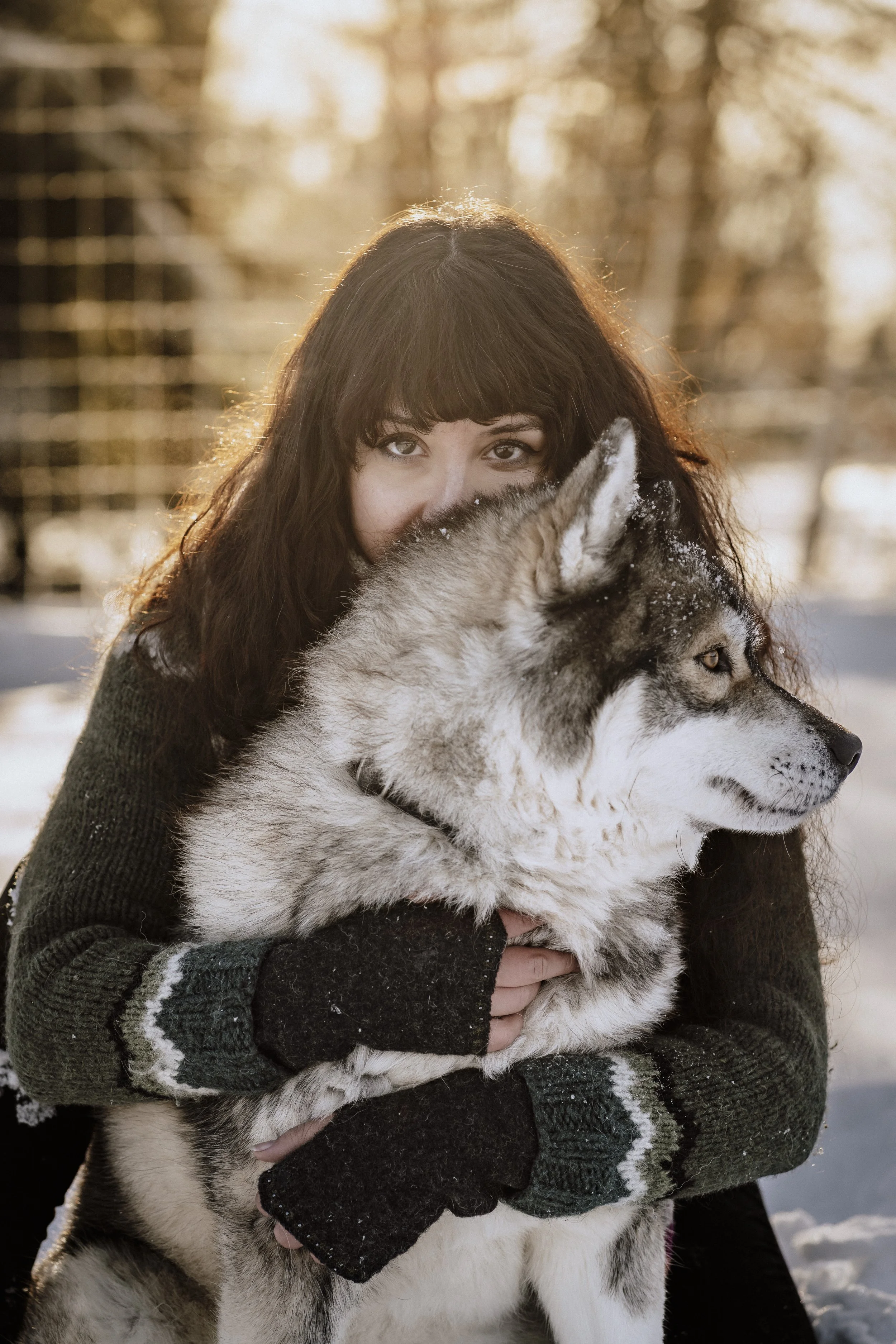 Erlebnis Fotoshooting beim Wildguide in Silberborn mit Damwild Huskys und Greifvögel