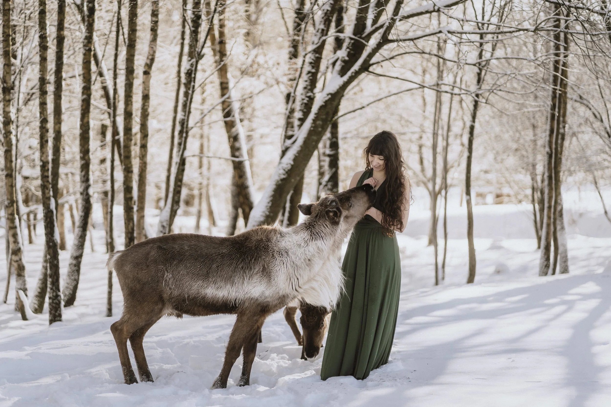 Fotoshooting beim Wildguide in Silberborn mit Damwild Rentieren Huskys