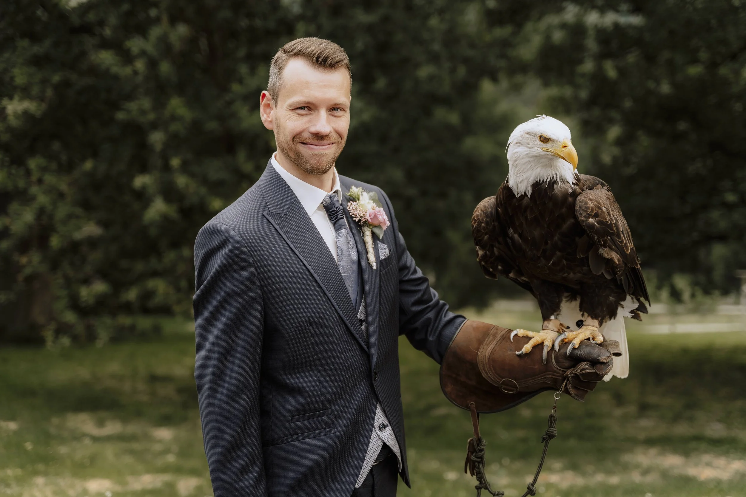 Bräutigam im Anzug mit Weißkopfseeadler auf dem Arm, Porträtaufnahme mit Greifvogel