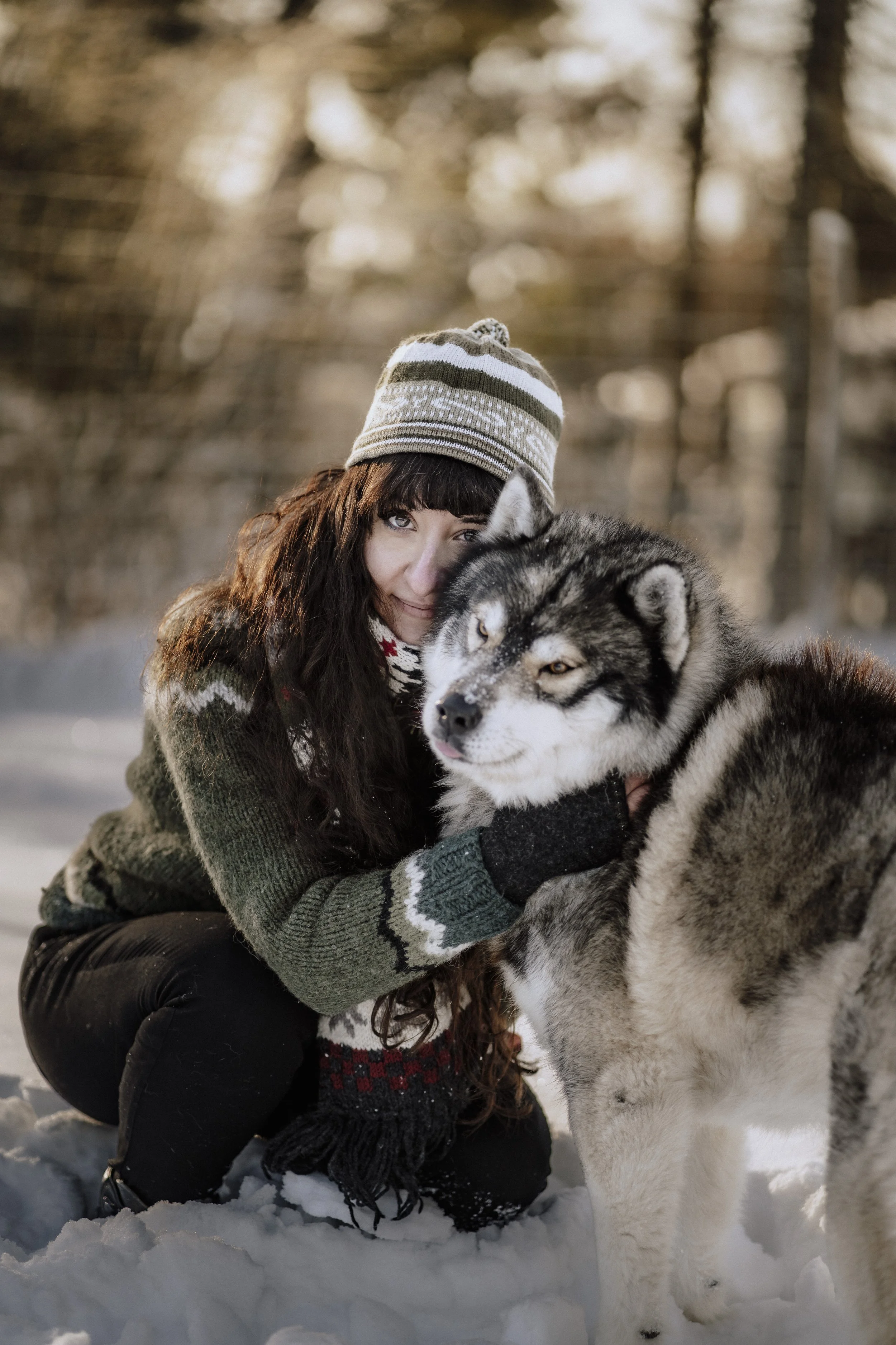 Erlebnis Fotoshooting beim Wildguide in Silberborn mit Damwild Huskys und Greifvögel