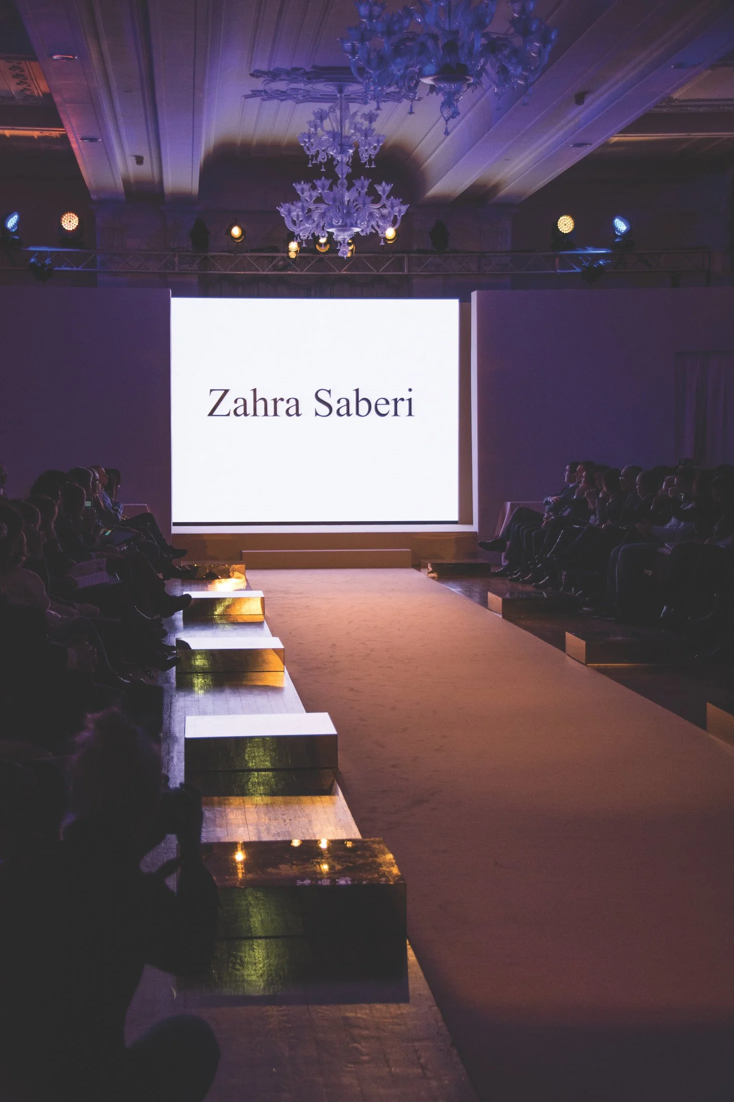 Zara Saberi — Woman VS Woman runway collection presented in Italy in 2015.