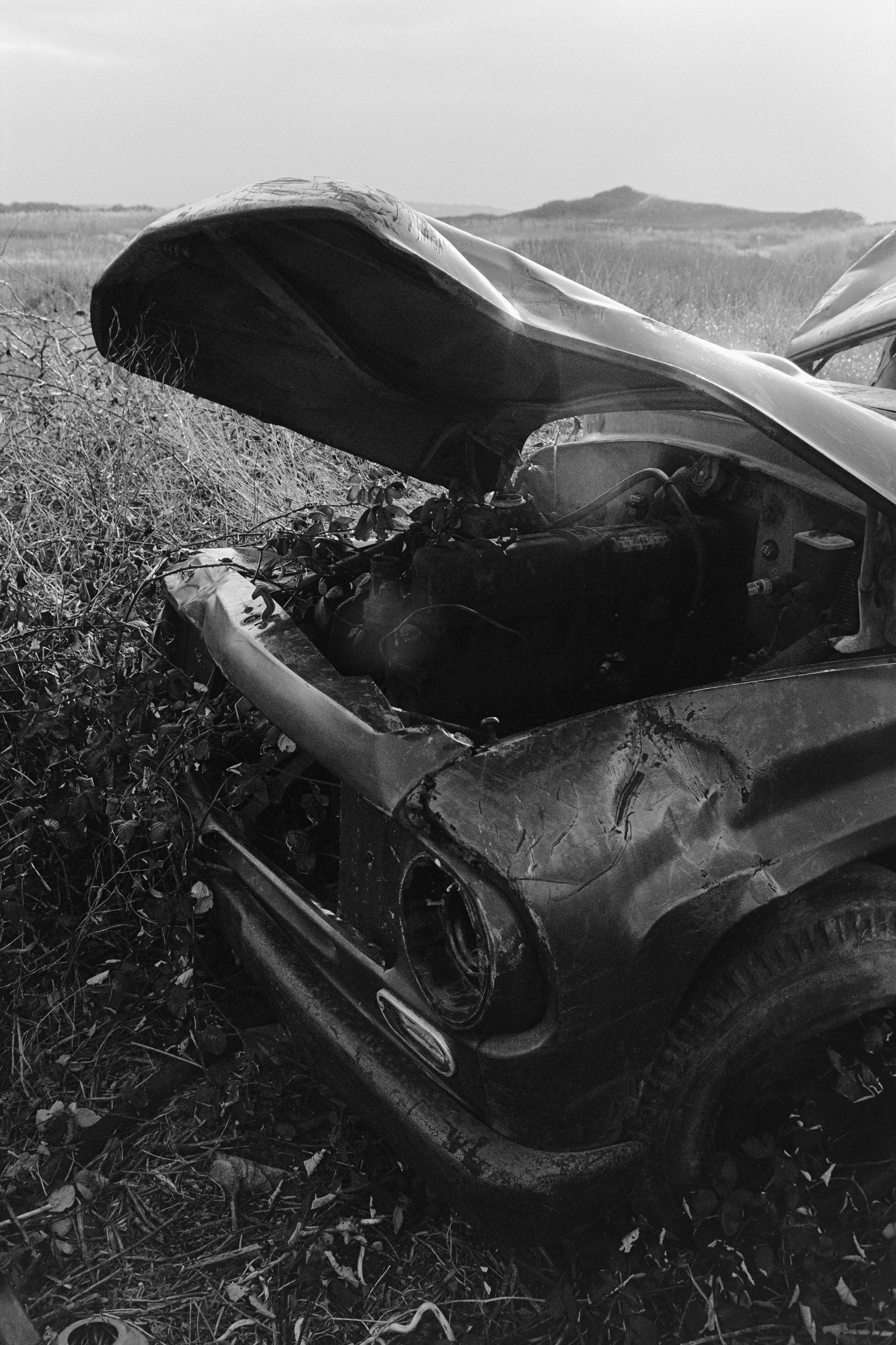 Near Niles Swamp, 1977