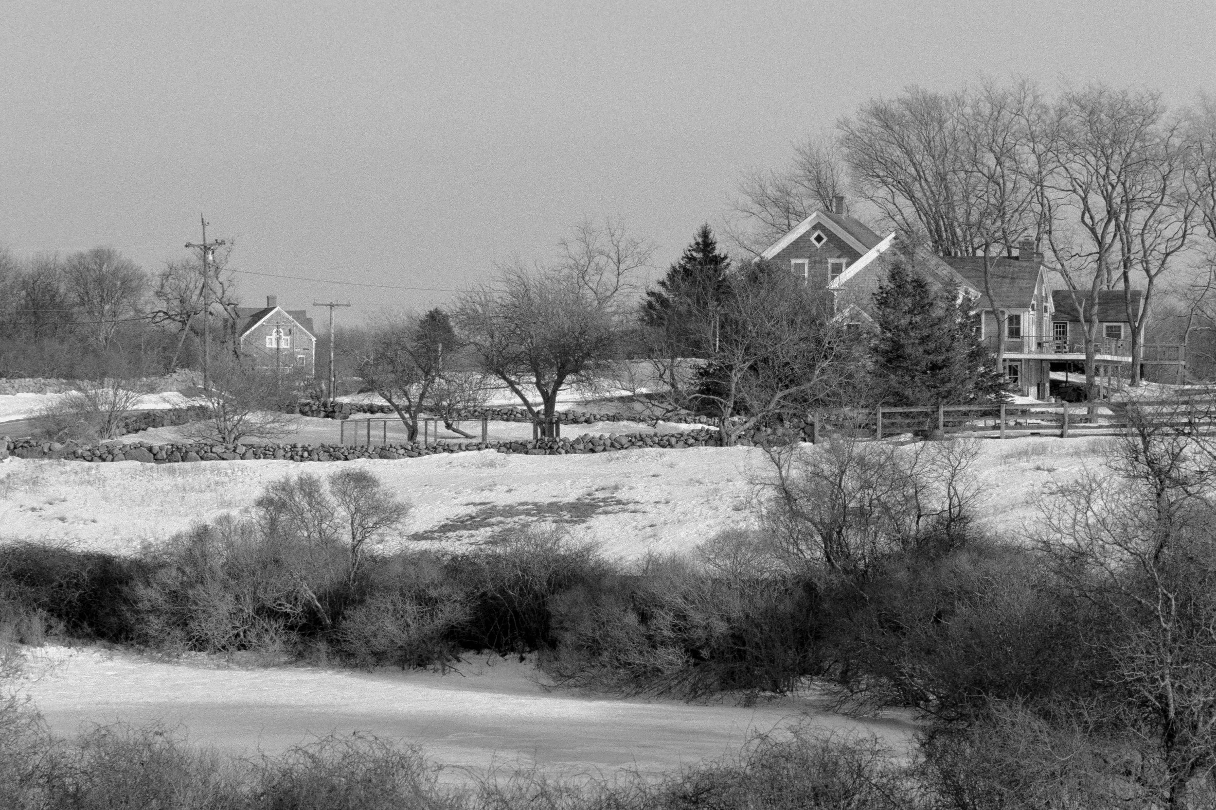 Ball Homestead and Tea Room Pond, 2026