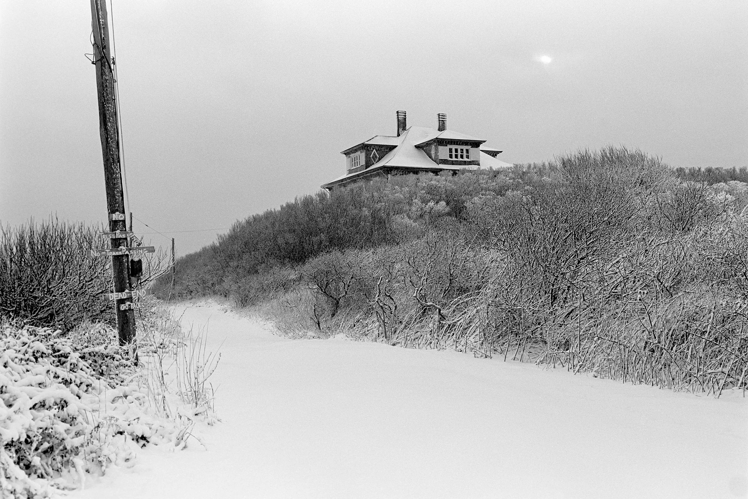Snow-covered path leading to a house on a hill, with trees and shrubs coated in snow in a winter landscape.