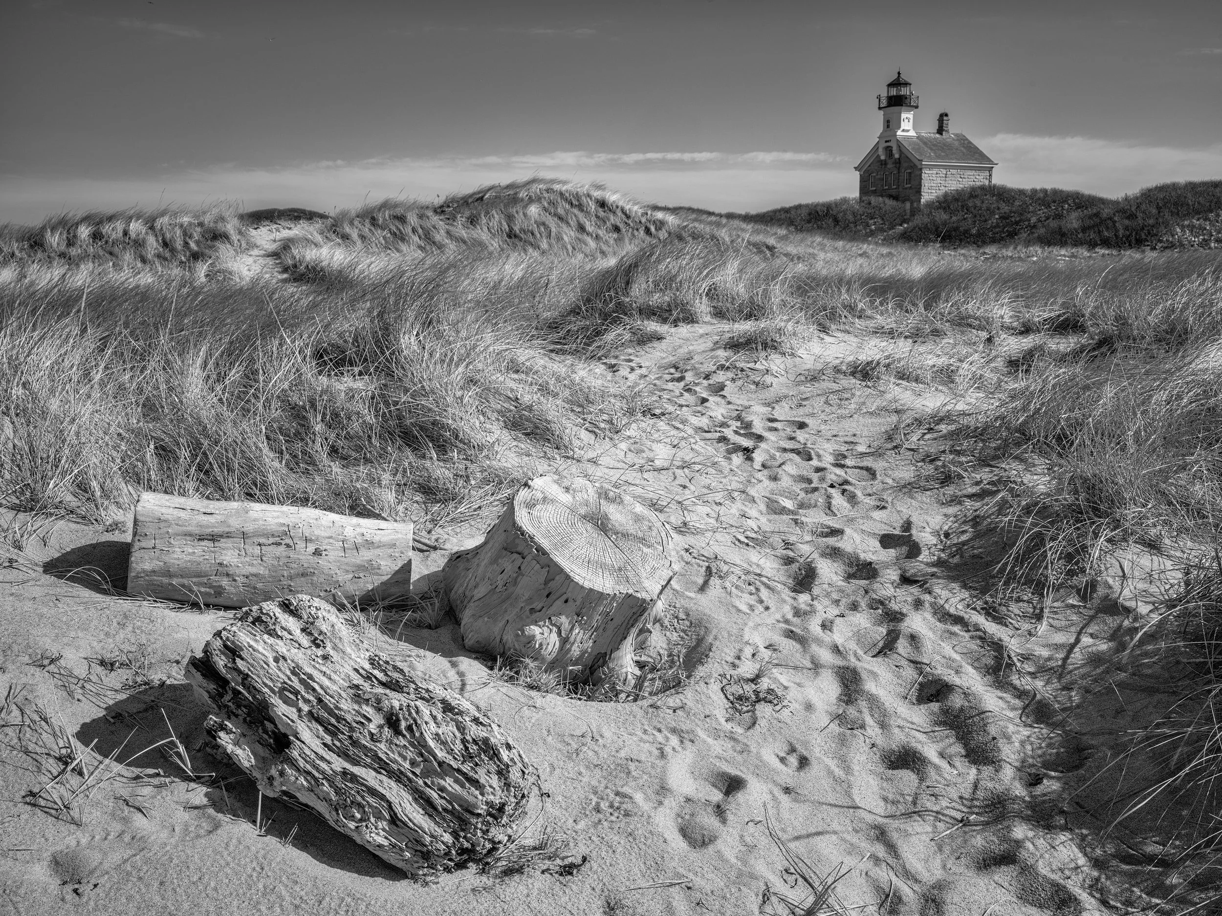 Driftwood, North Light, 2026