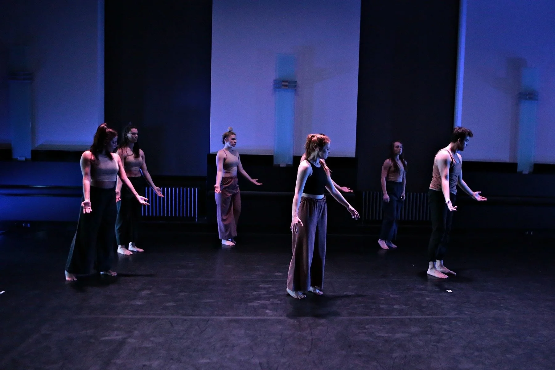 That You Have 1.JPEG