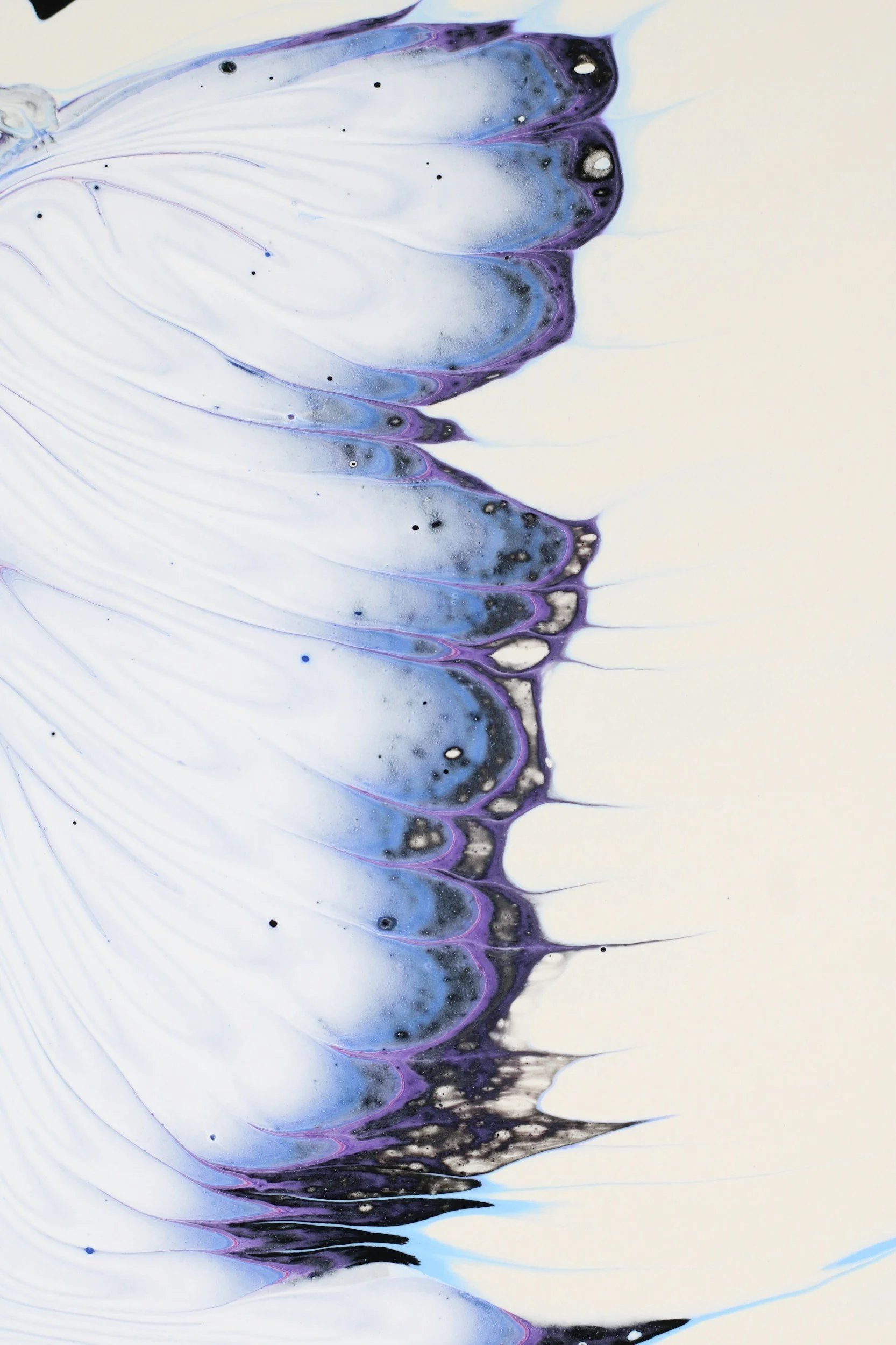 Abstract watercolor painting of half of a butterfly's wing with flowing streaks of purple, black, blue, and white on a light background.