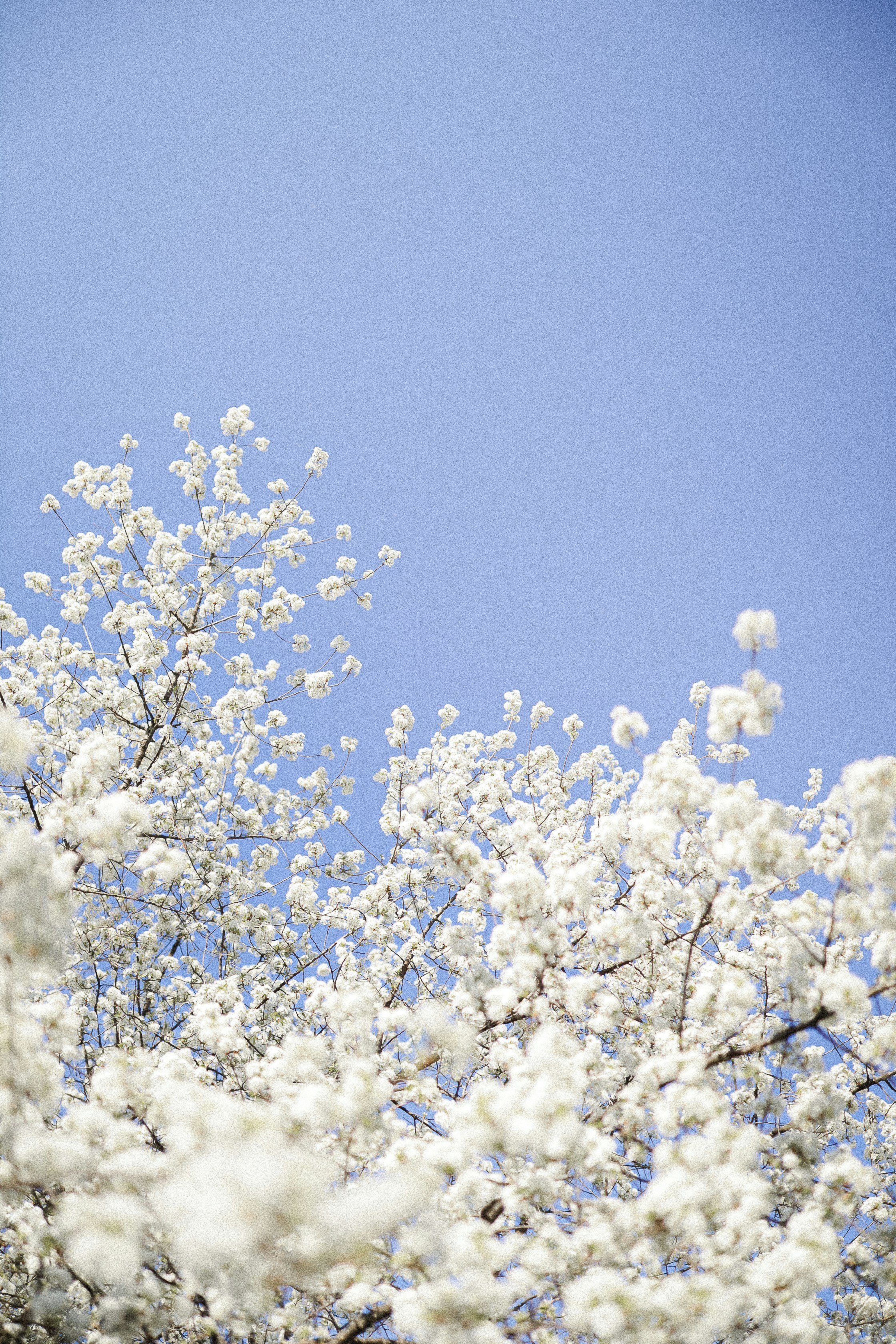 Emotional, Spiritual, and Mental Changes During Serious Illness