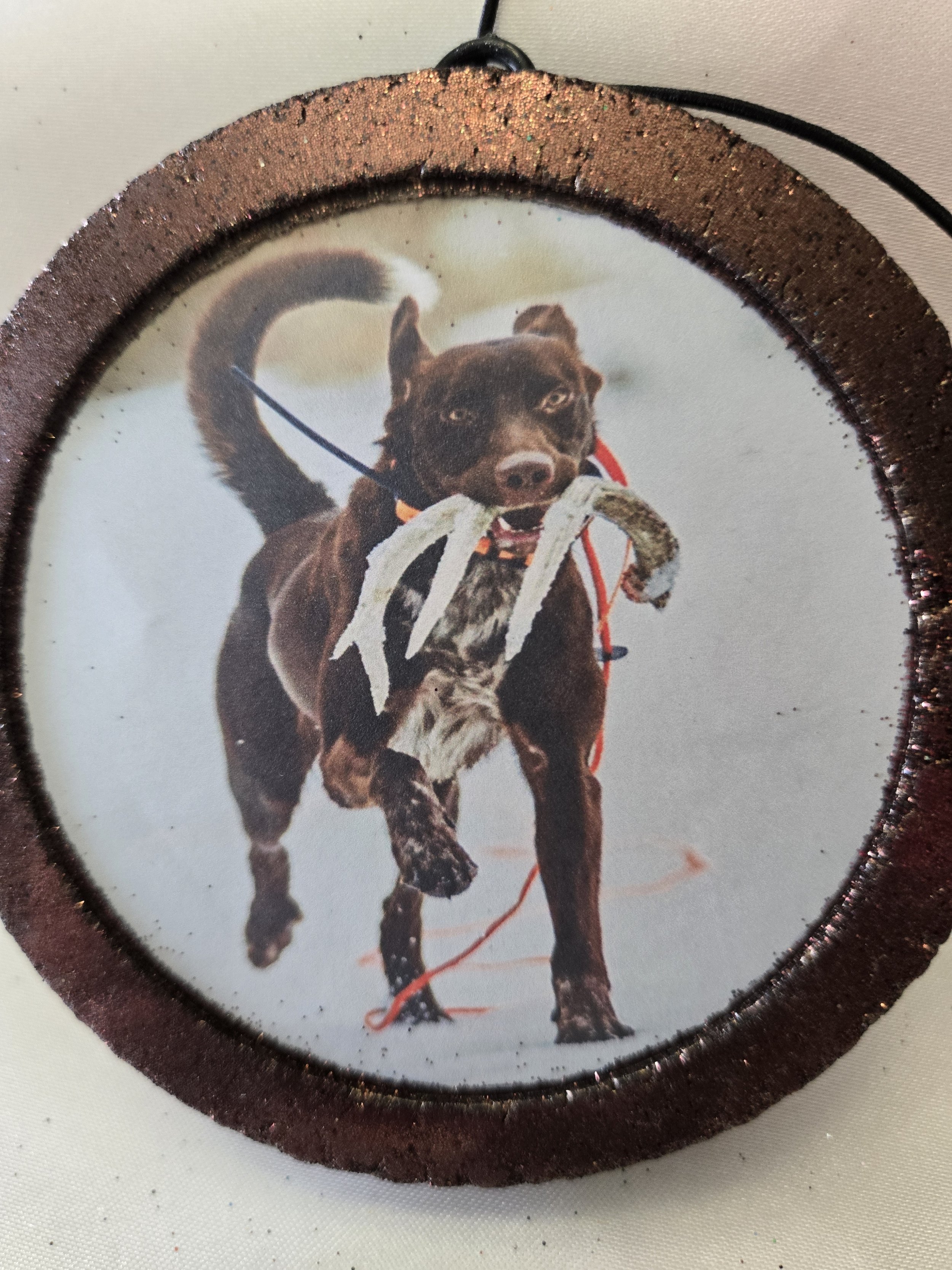 A photograph of a dog with a stick in its mouth, running on a snowy terrain, with a red leash attached. The image is framed with a glittery, round border.