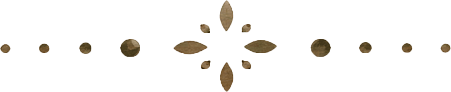 Close-up of a sunflower seed with a blurred background.