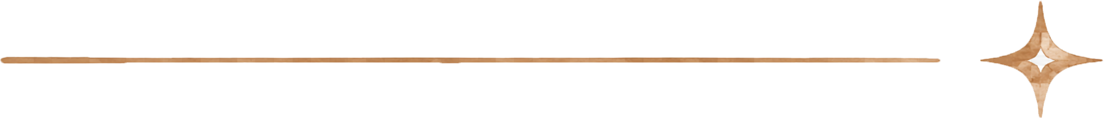 A close-up view of a wooden chopstick with a star-shaped decorative end placed horizontally against a white background.