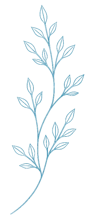 Illustration of a blue herbaceous plant with multiple leaves on a single stem.