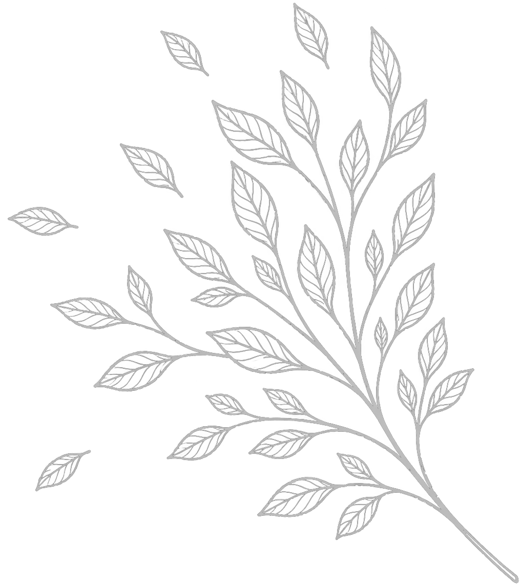 Outline illustration of a leafy branch with multiple leaves on a black background.