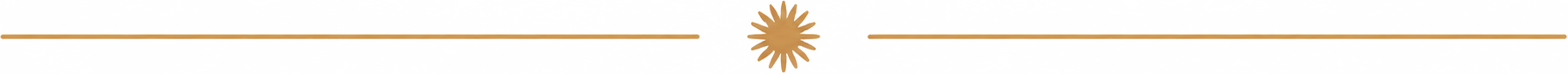 A decorative gold and brown horizontal divider with a sunburst in the center.