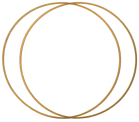 Two gold rings, one larger than the other, with the smaller ring overlapping the larger, all on a plain background.