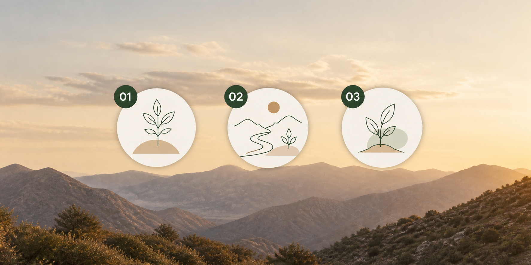 Sunset over mountains with three icons: a plant, a landscape with mountains and a river, and a sprouting plant, numbered 01, 02, and 03.