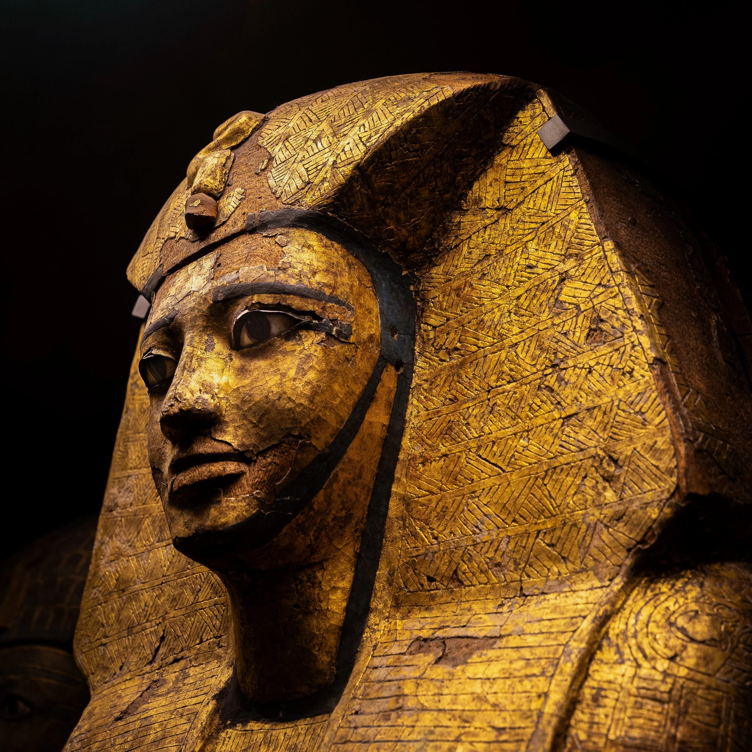 The Mummy