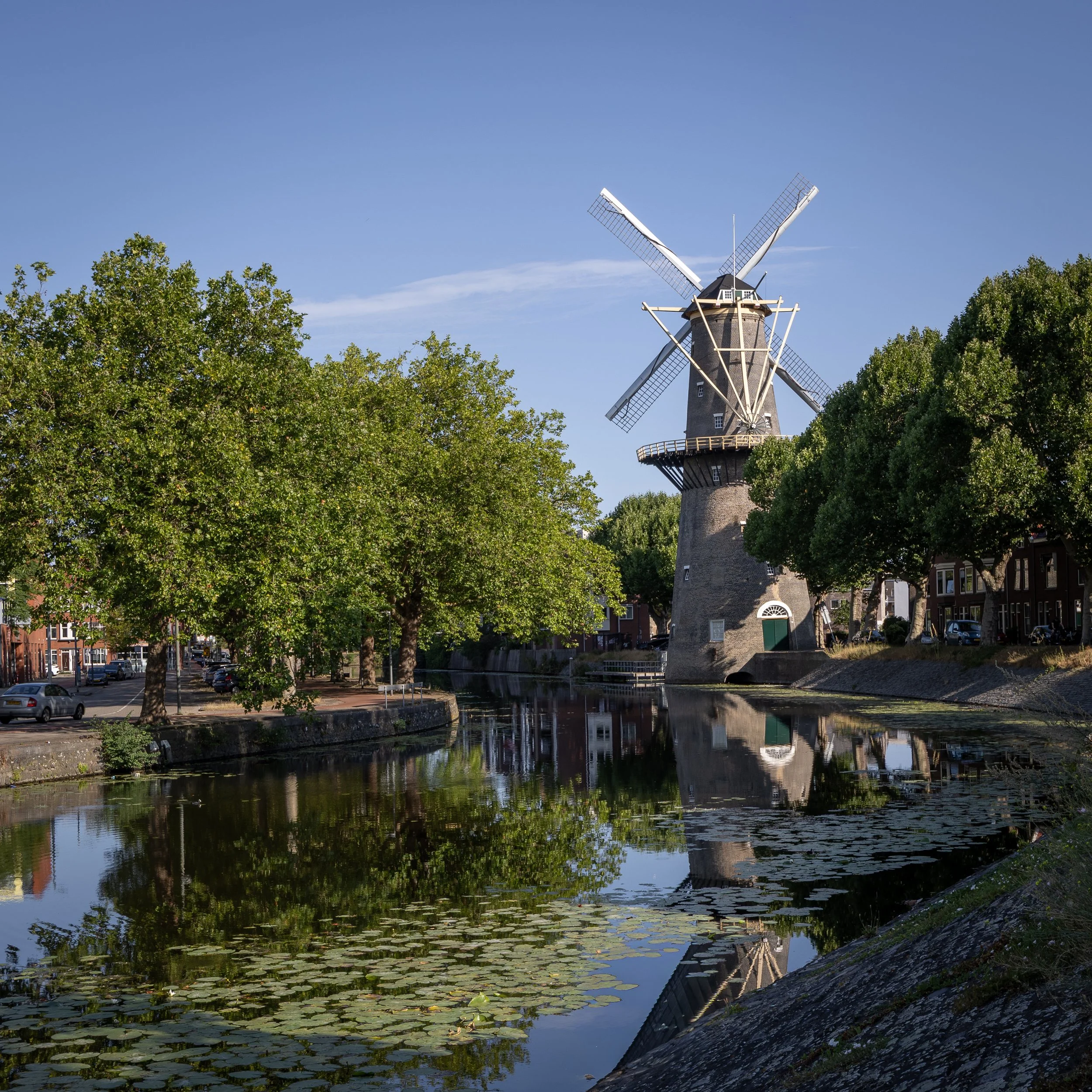 Schiedam-5019.jpg