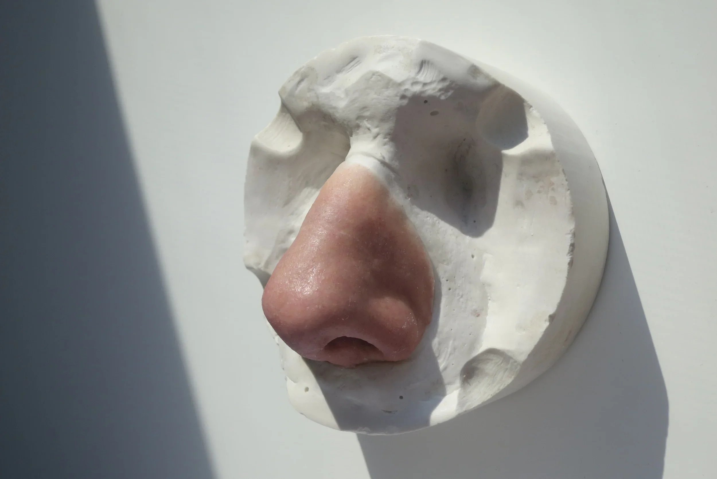 Nasal / Nose