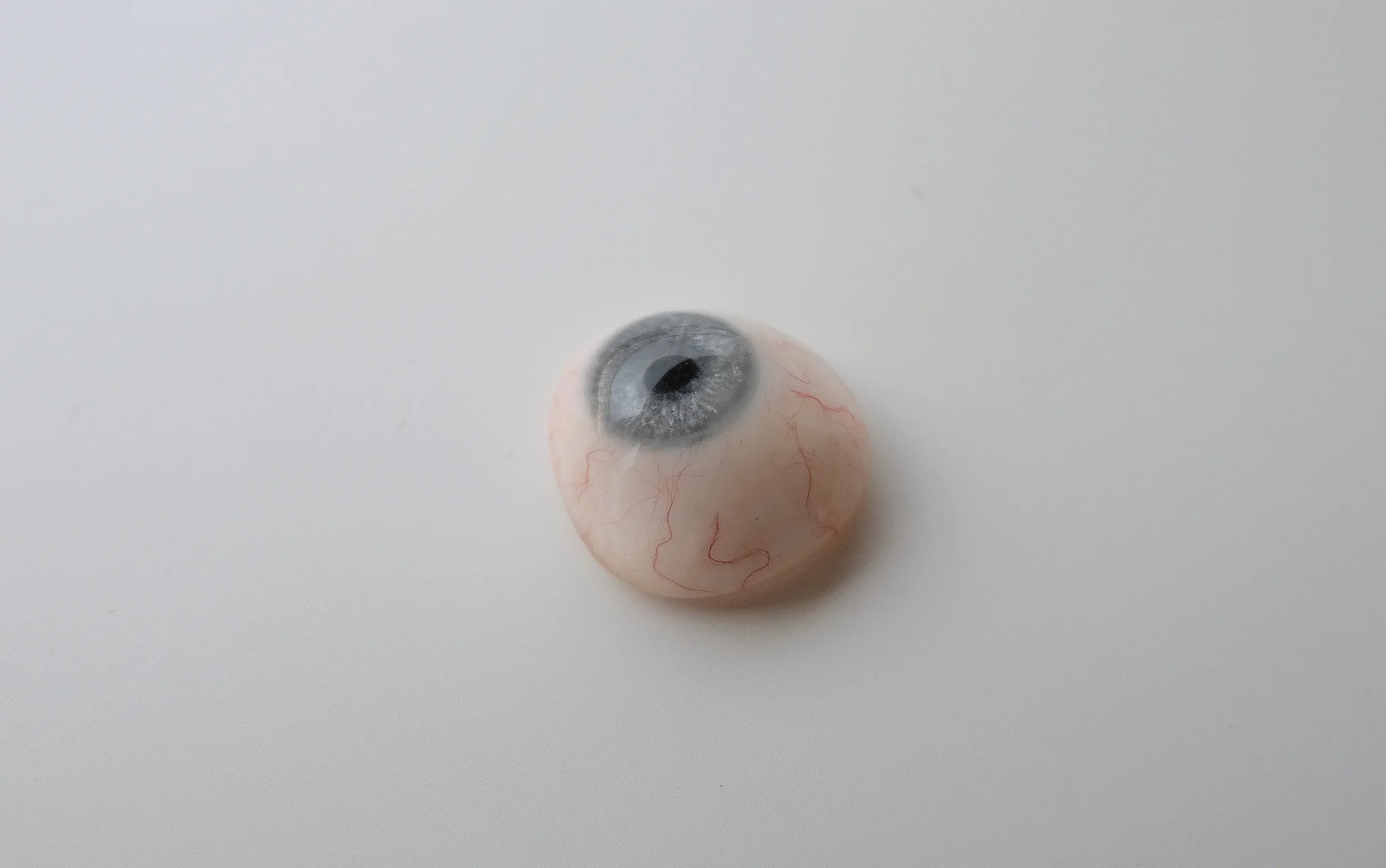 Ocular / Artificial Eyes