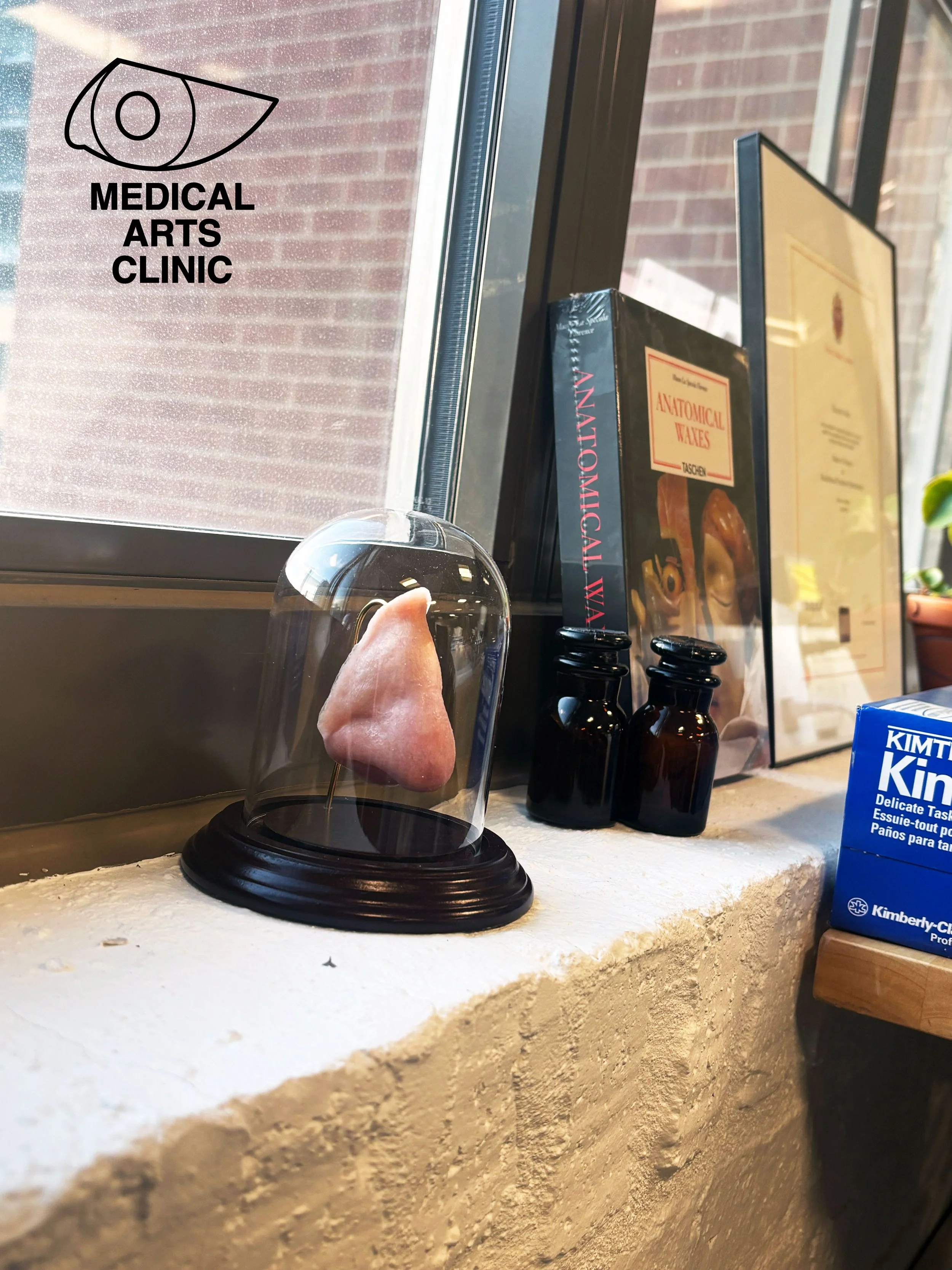 A model of a human ear inside a clear plastic dome on a black base, placed on a white textured surface near a window with a sign that reads 'Medical Arts Clinic,' some books, framed pictures, and a box of Kimberly-Clark tissues.
